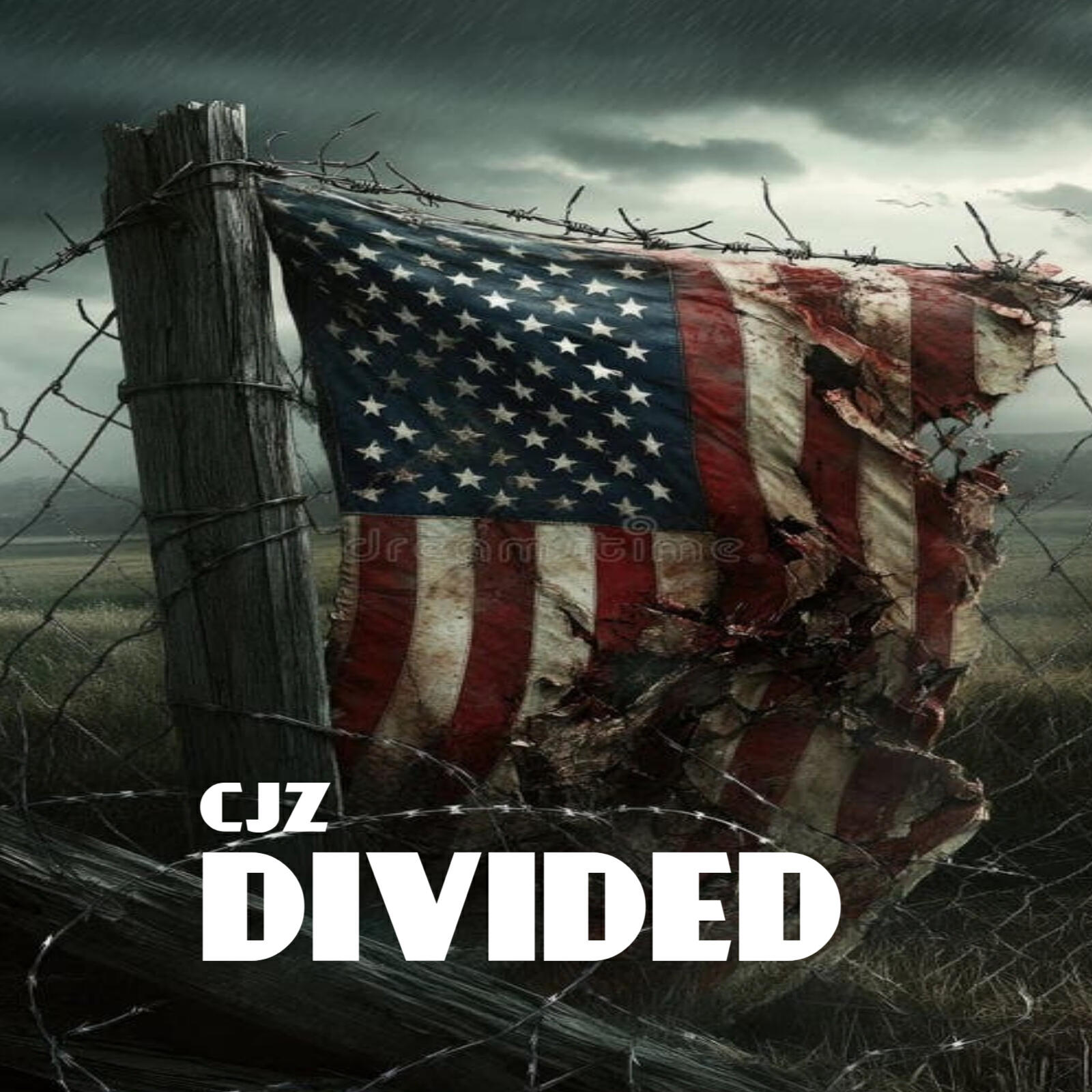 Релиз Divided