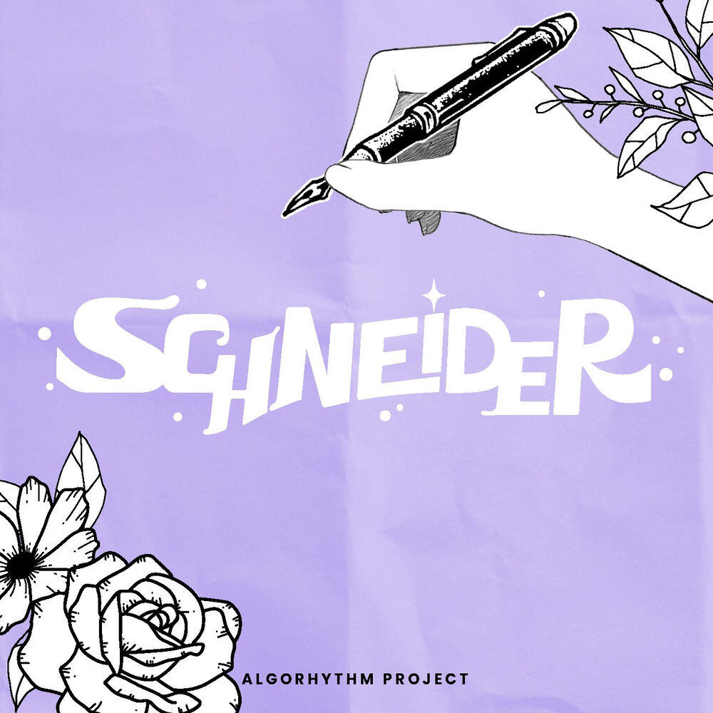 Релиз Schneider