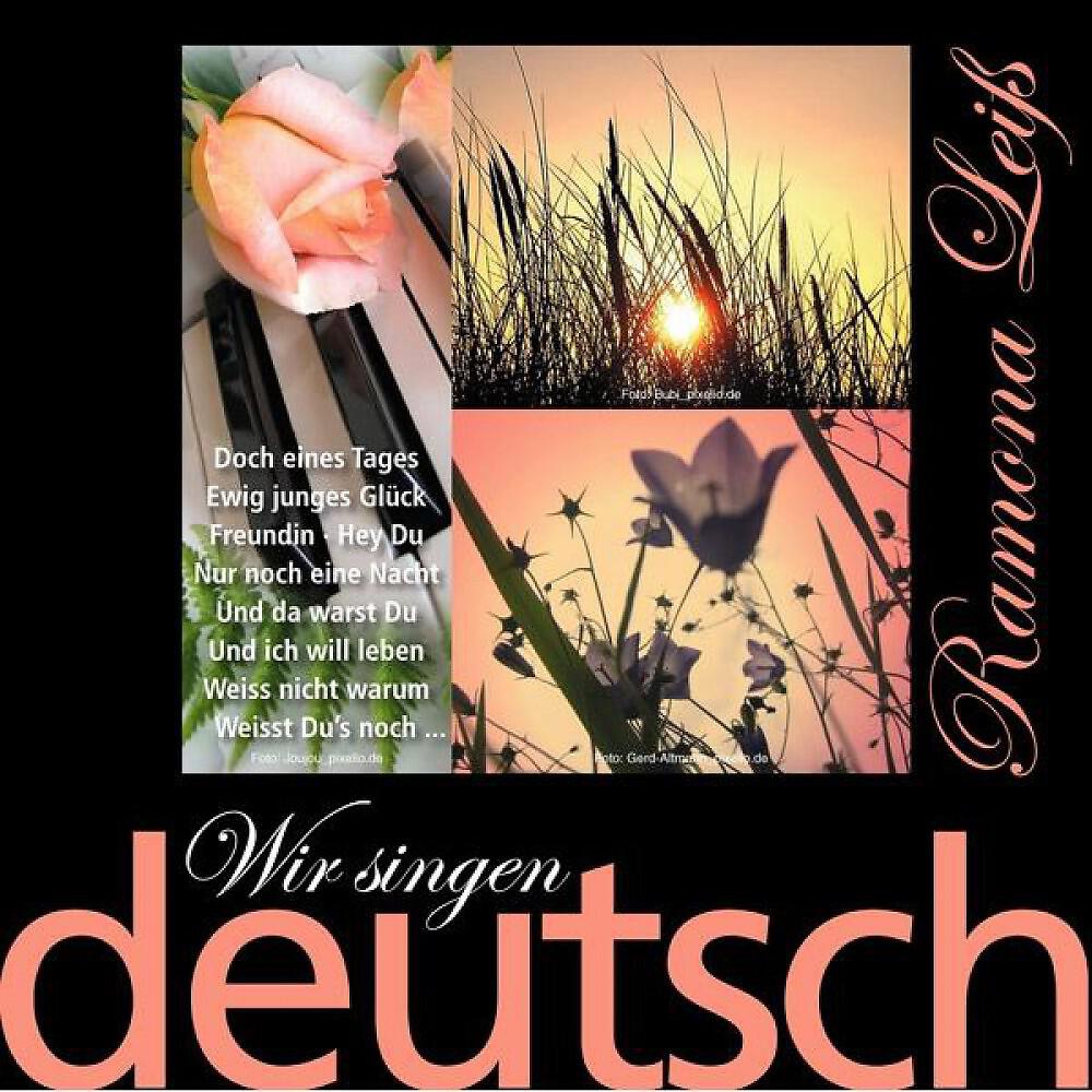 Релиз Wir singen deutsch - Liebe mich
