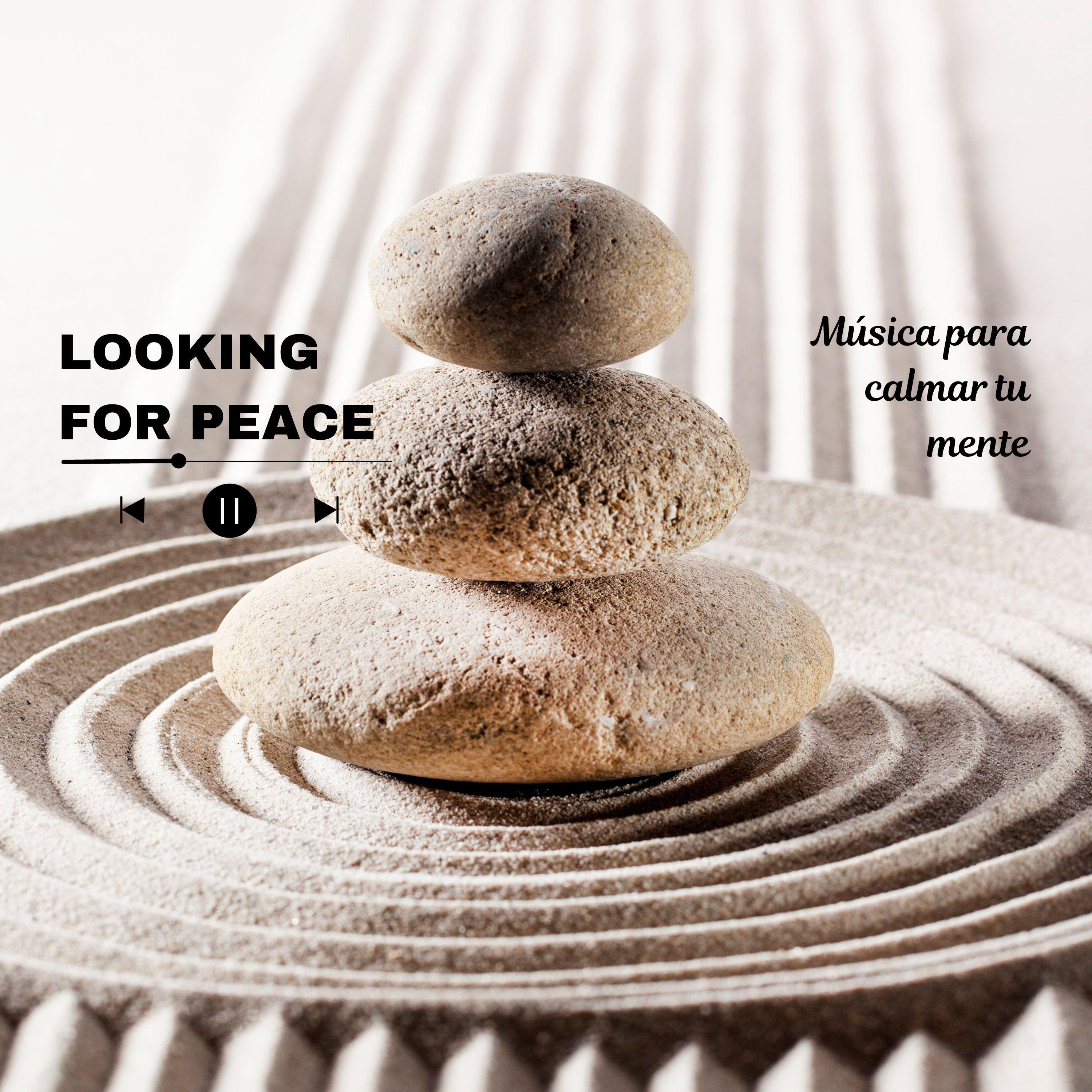 Релиз LOOKING FOR PEACE
