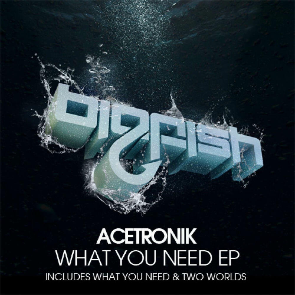 Релиз What You Need EP