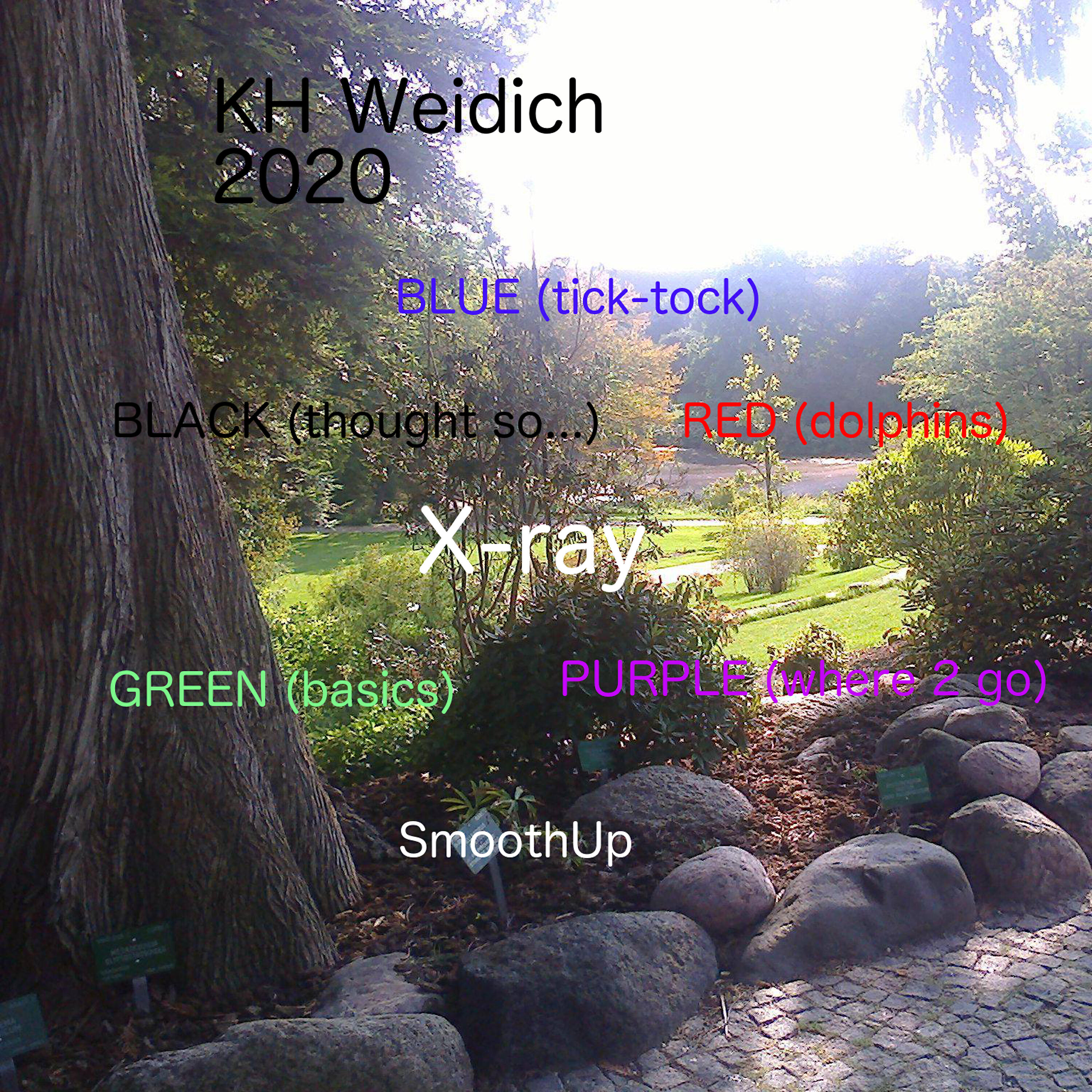 Релиз Kh Weidich 2020
