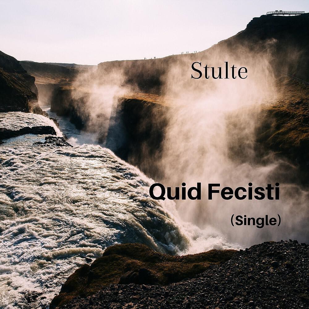 Релиз Stulte