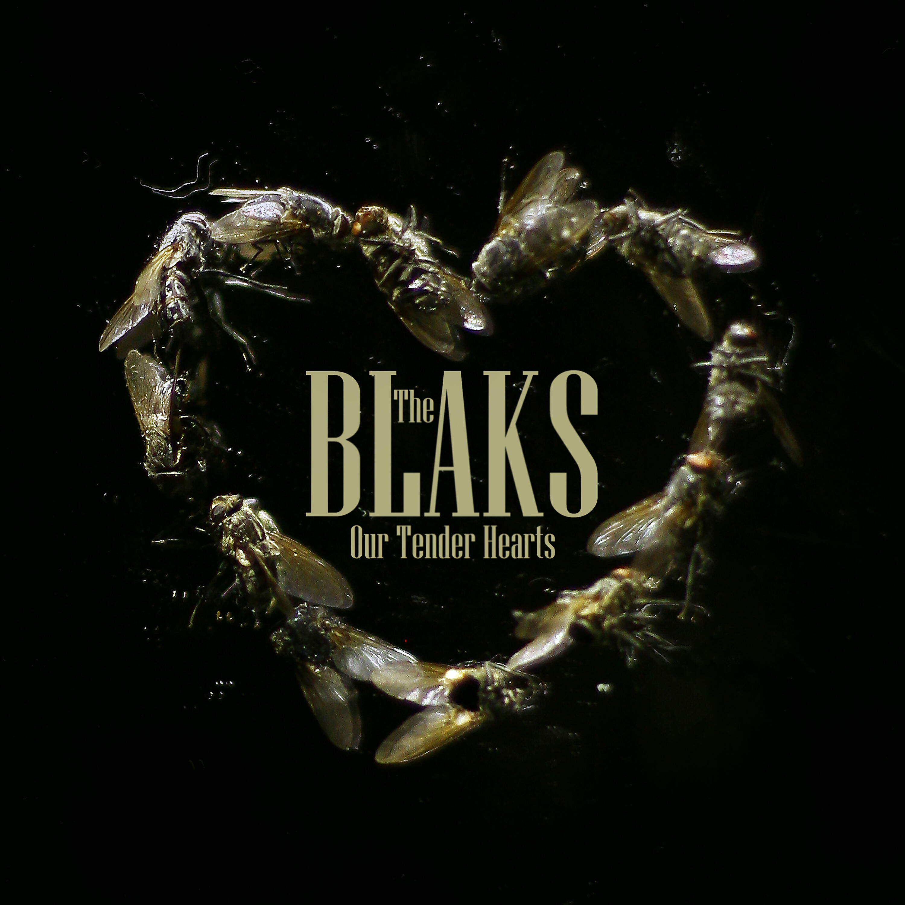 Релиз Our Tender Hearts
