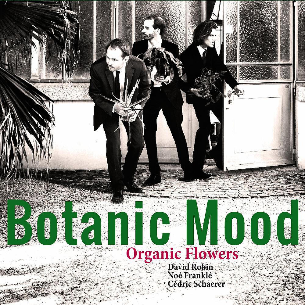 Релиз Botanic Mood
