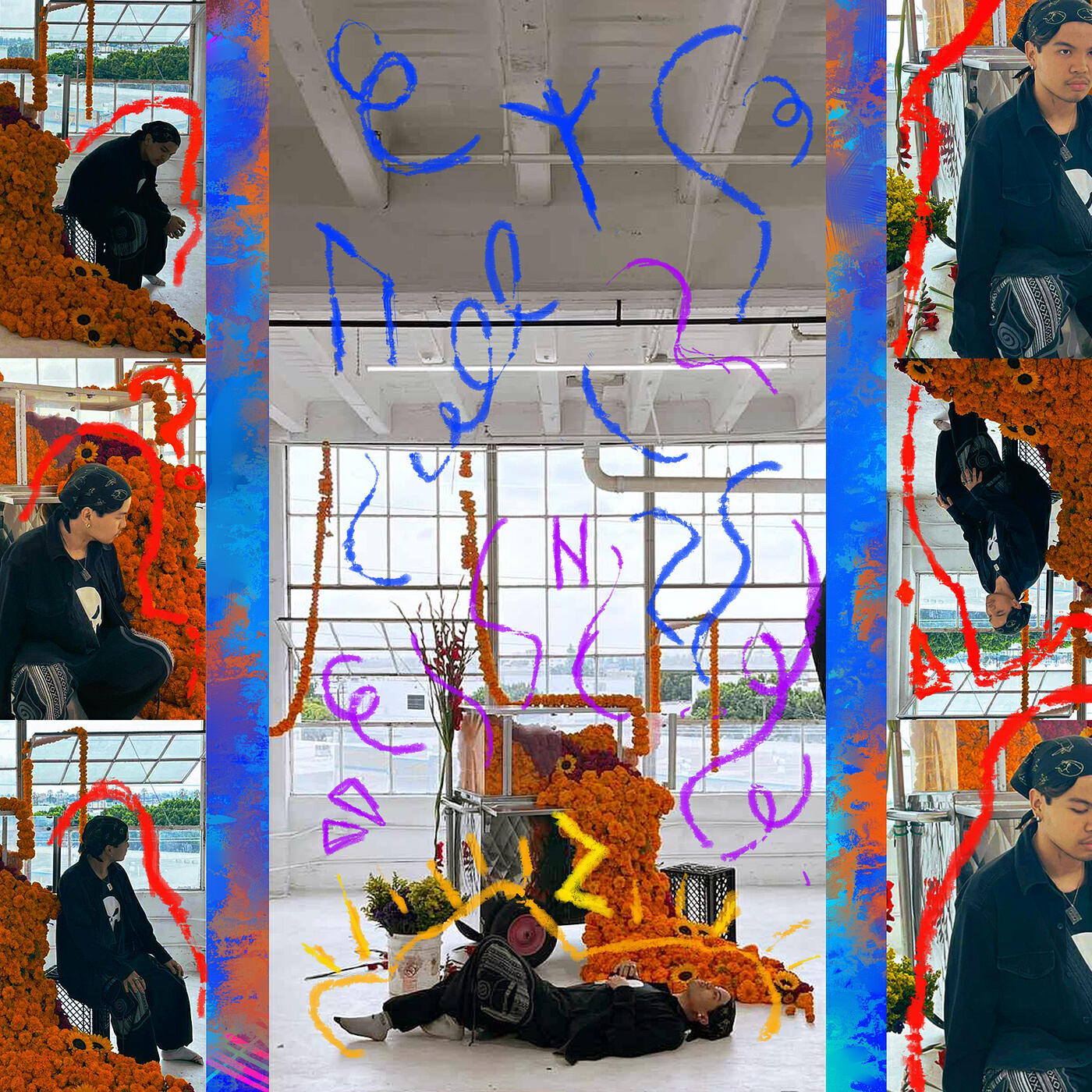 Релиз The Shape