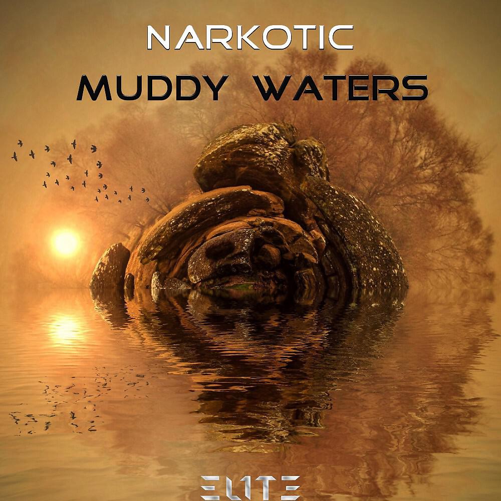 Релиз Muddy Waters