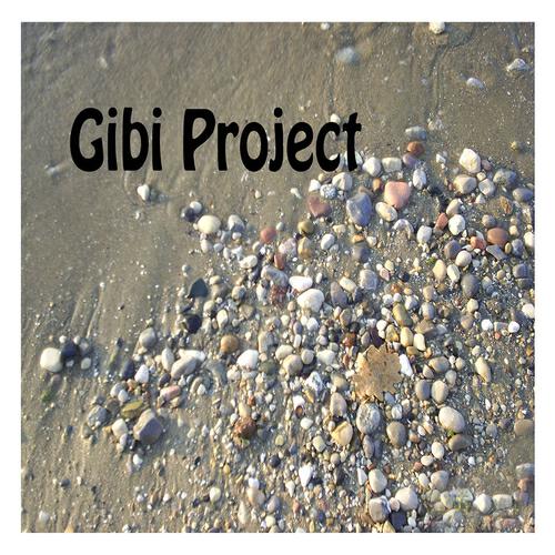 Релиз Gibi Project