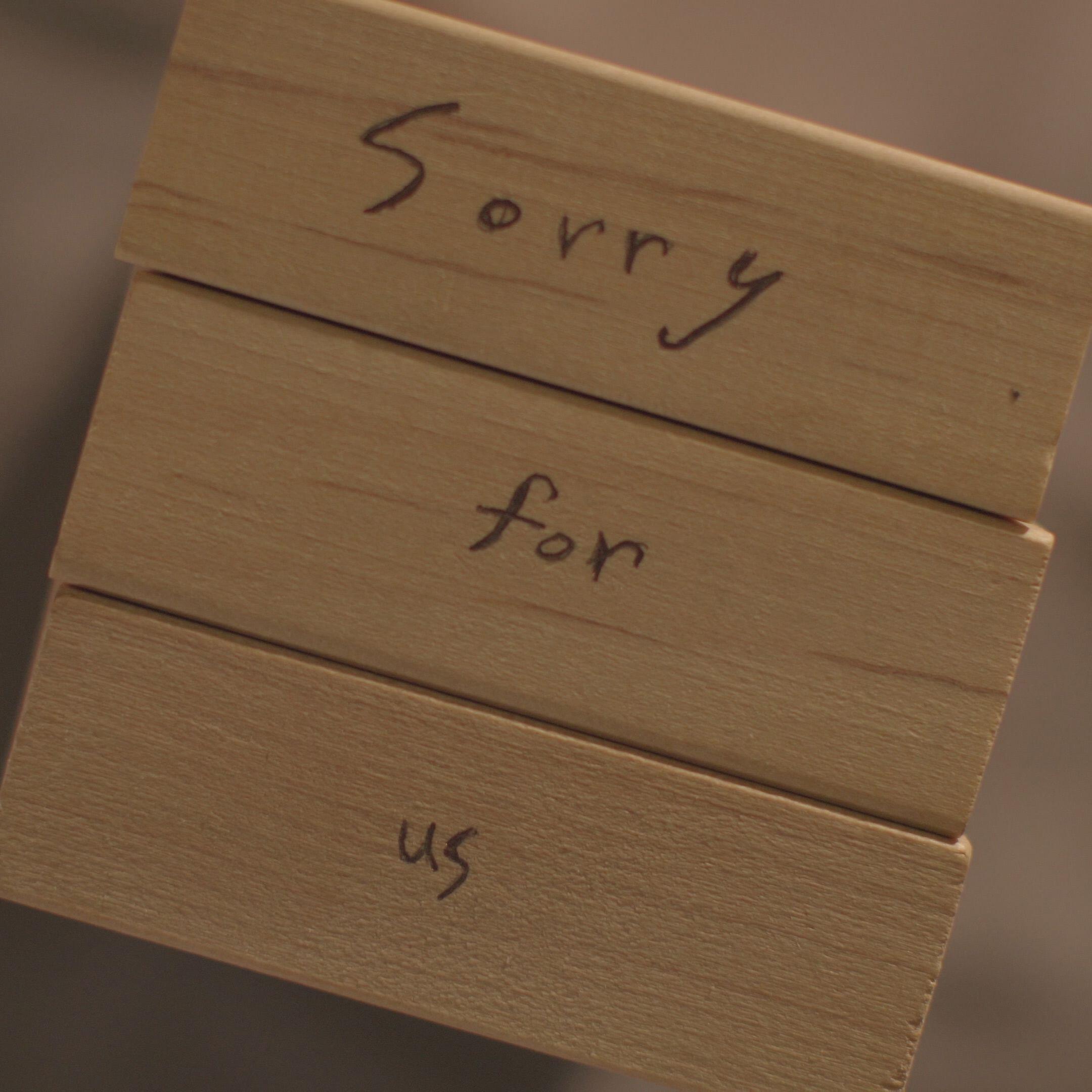 Релиз Sorry For Us