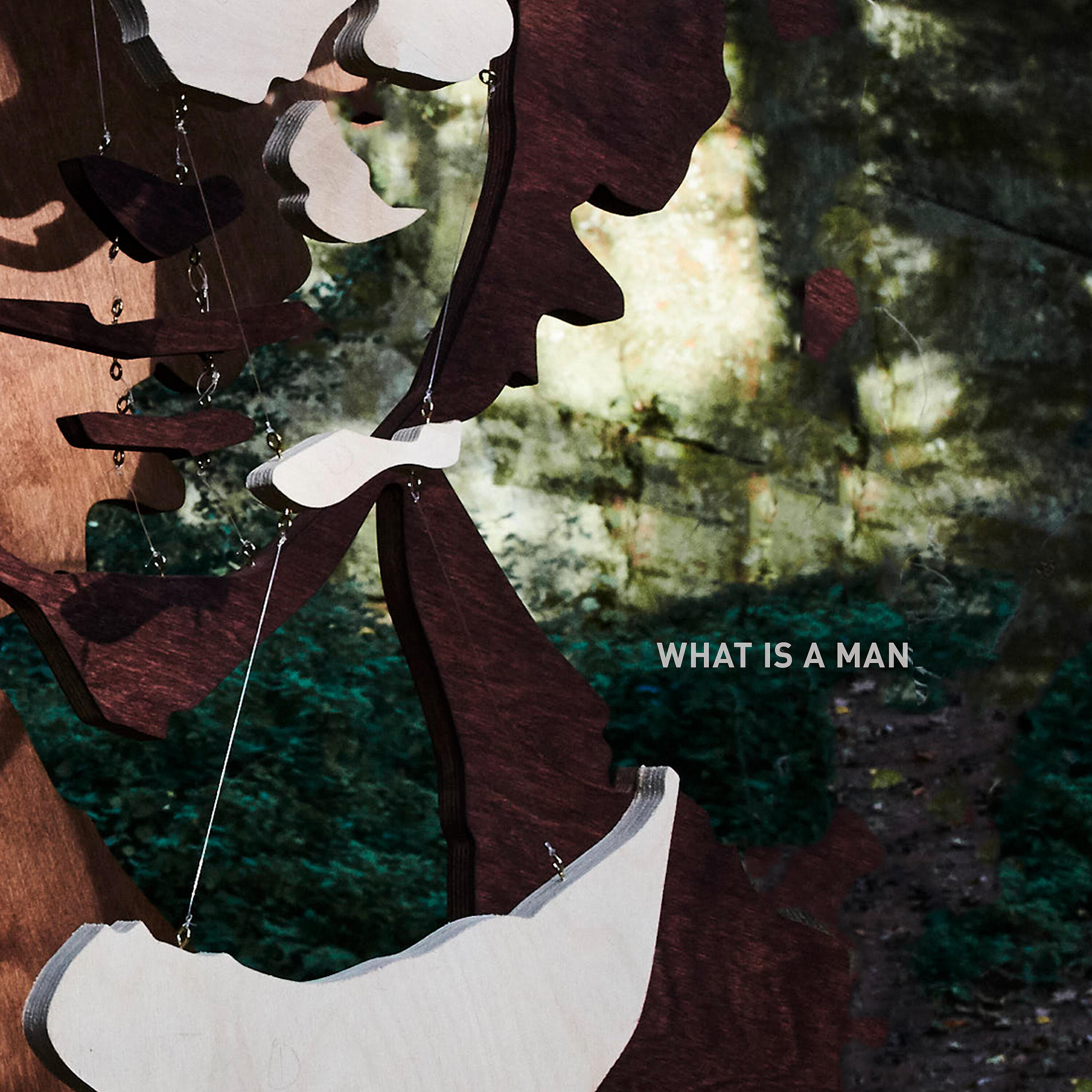 Релиз What is a Man