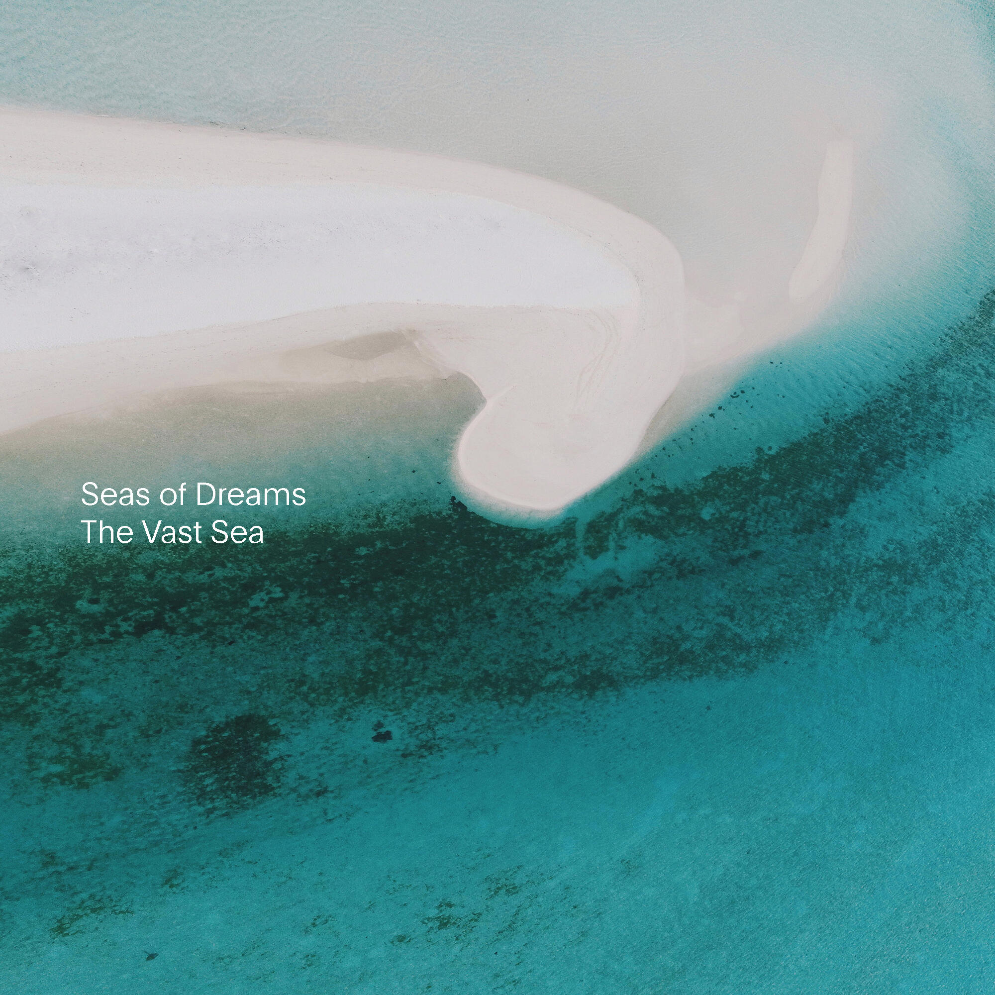 Релиз The Vast Sea