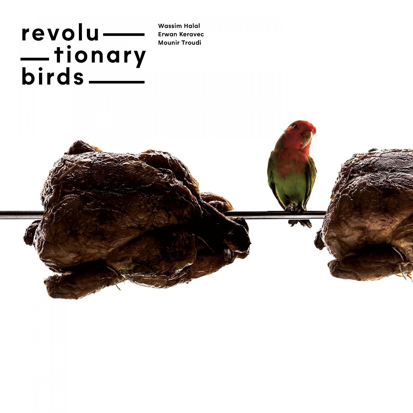 Релиз Revolutionary Birds