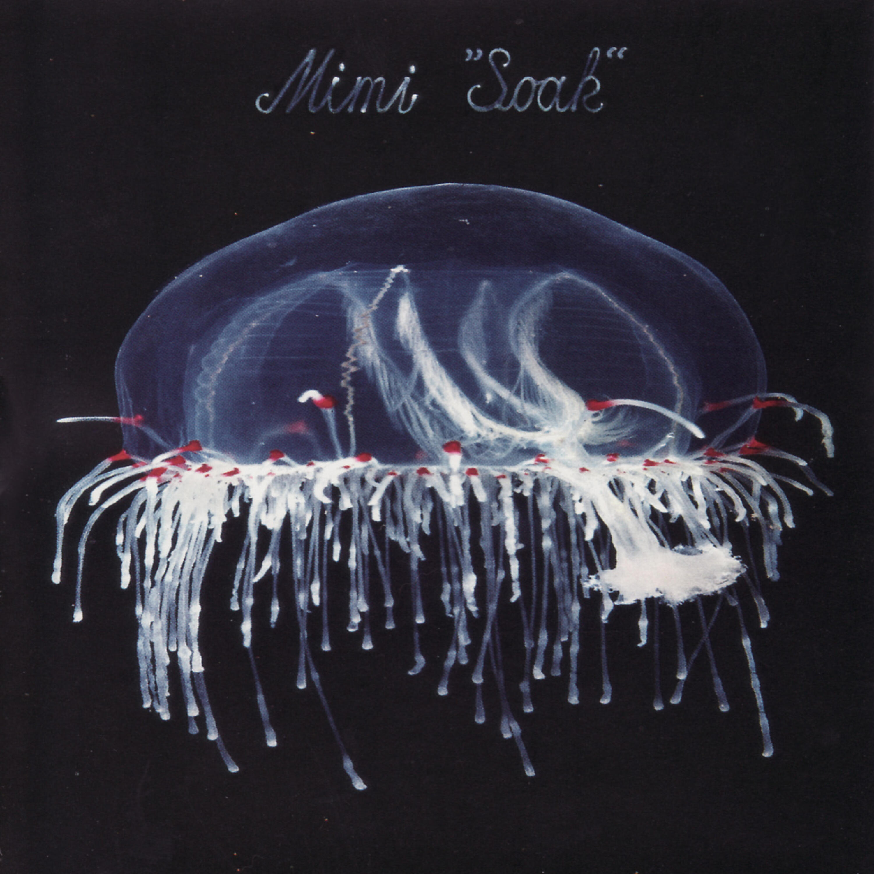 Релиз Soak