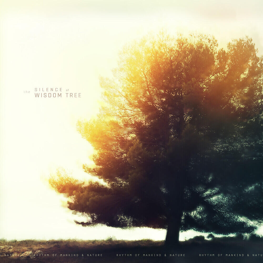 Релиз The Silence of the Wisdom Tree