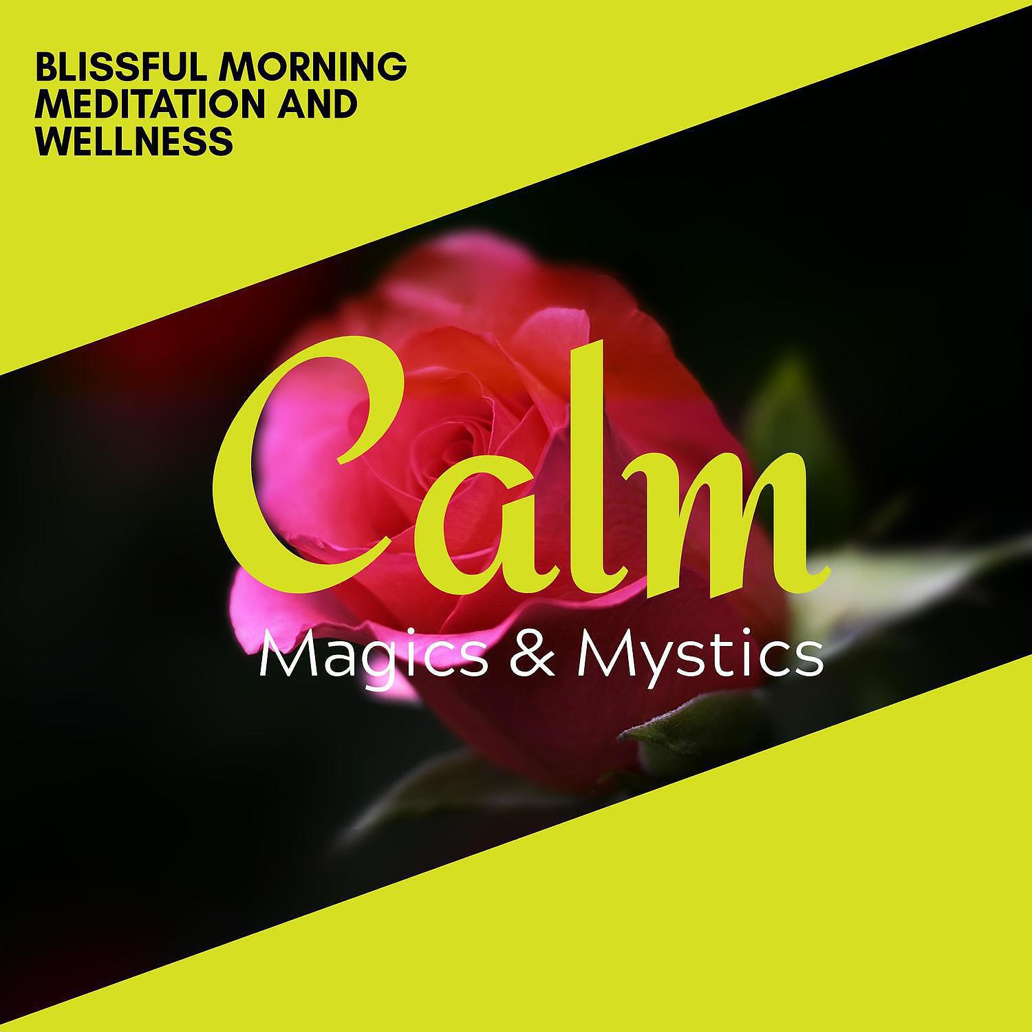 Релиз Blissful Morning Meditation and Wellness