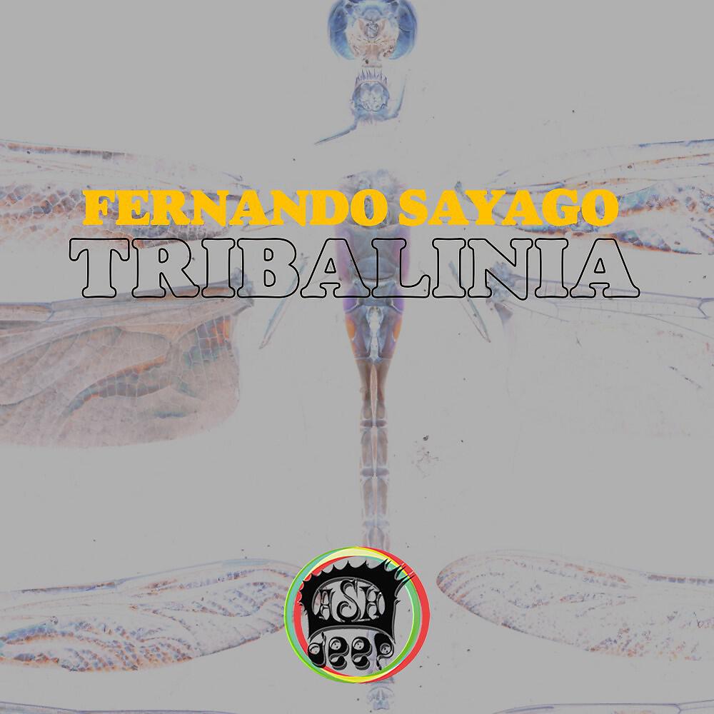 Релиз Tribalinia