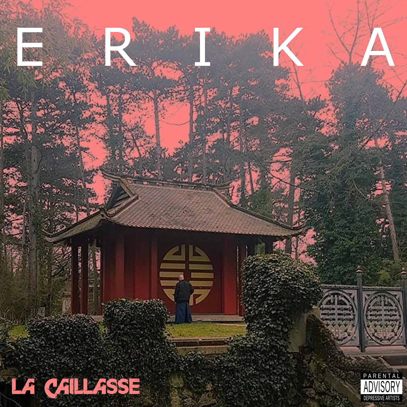 Релиз Erika