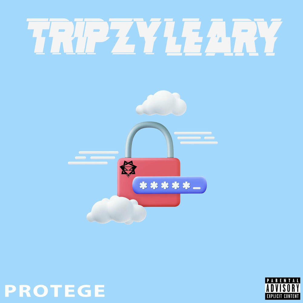Релиз Protege