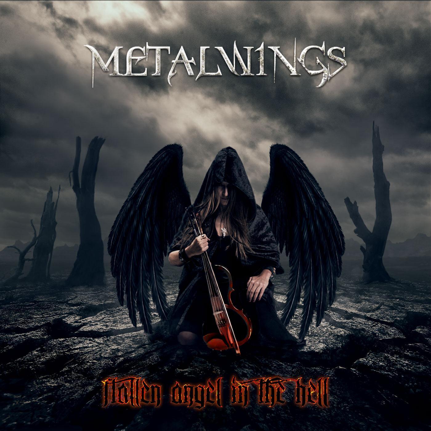Постер альбома Fallen Angel in the Hell