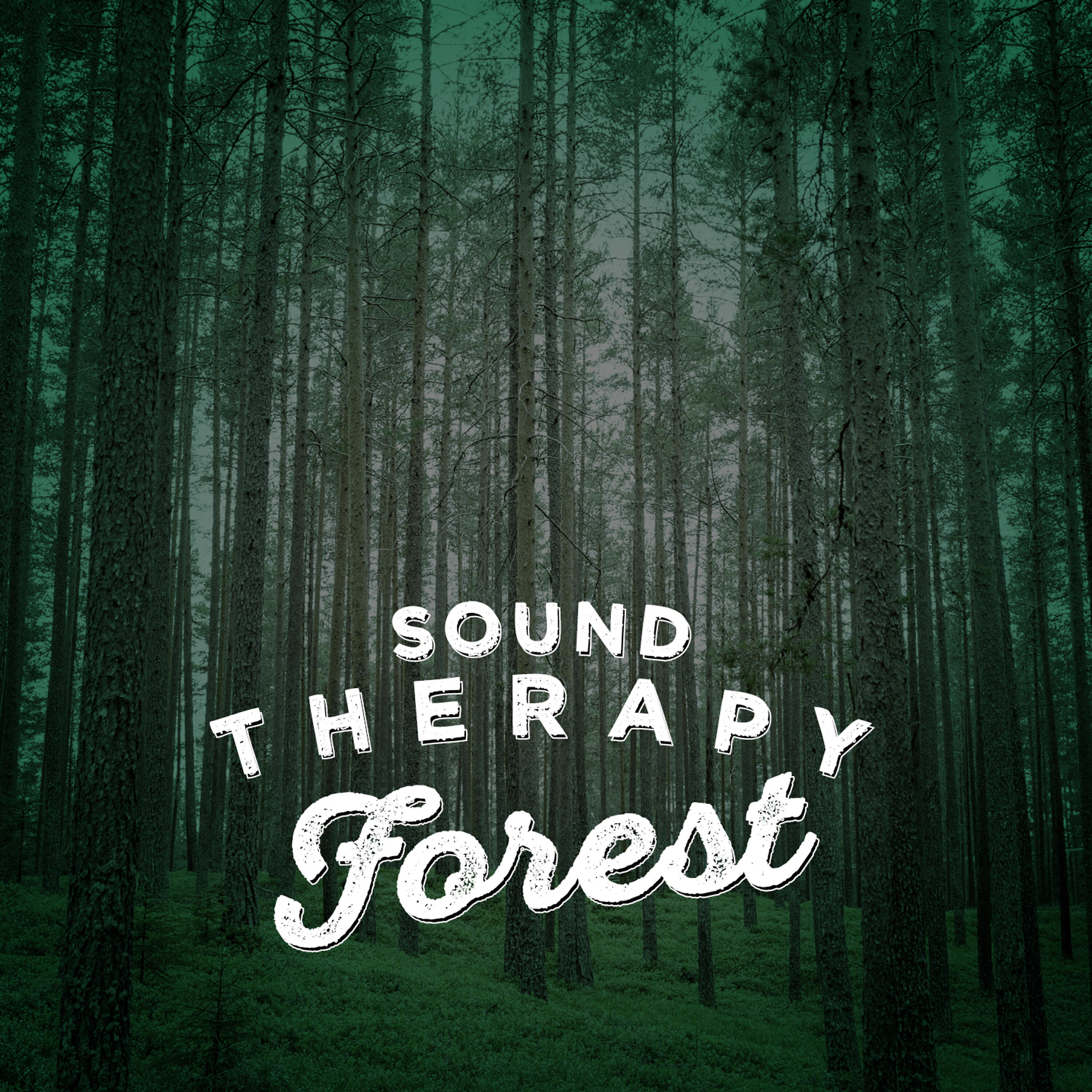 Трек Woodland Brook