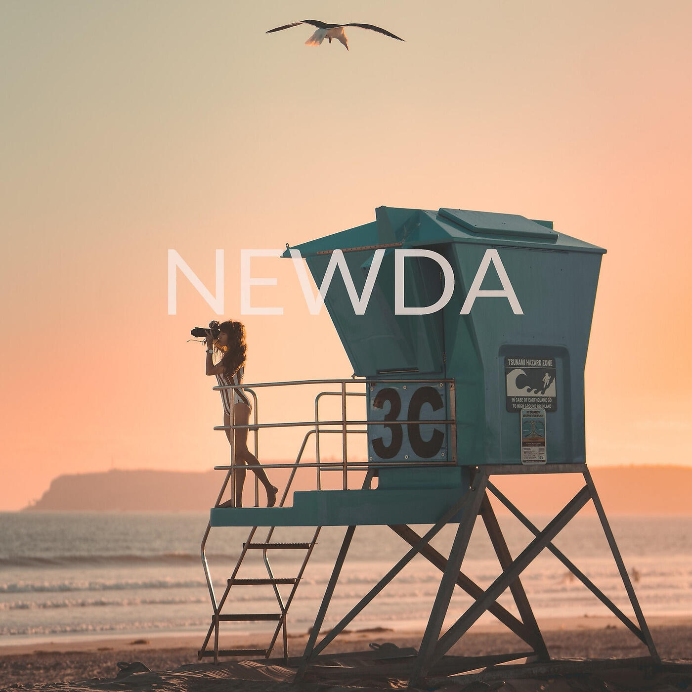 Релиз Newda