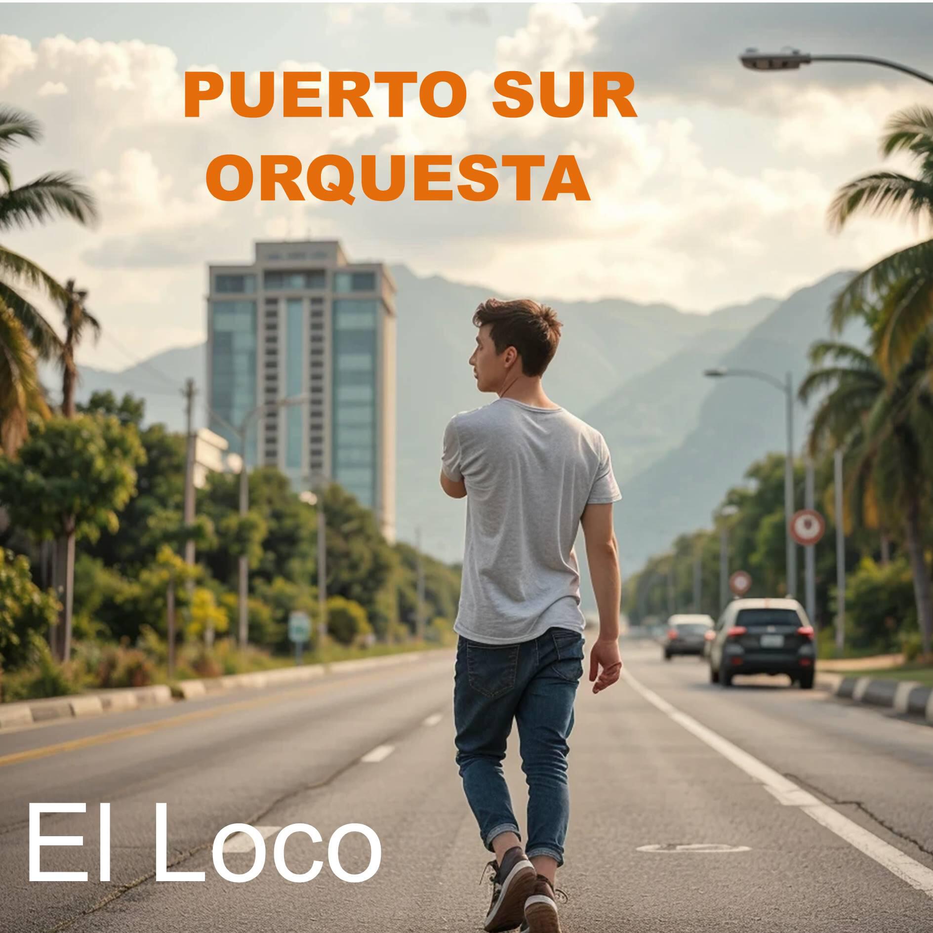 Puerto Sur Orquesta