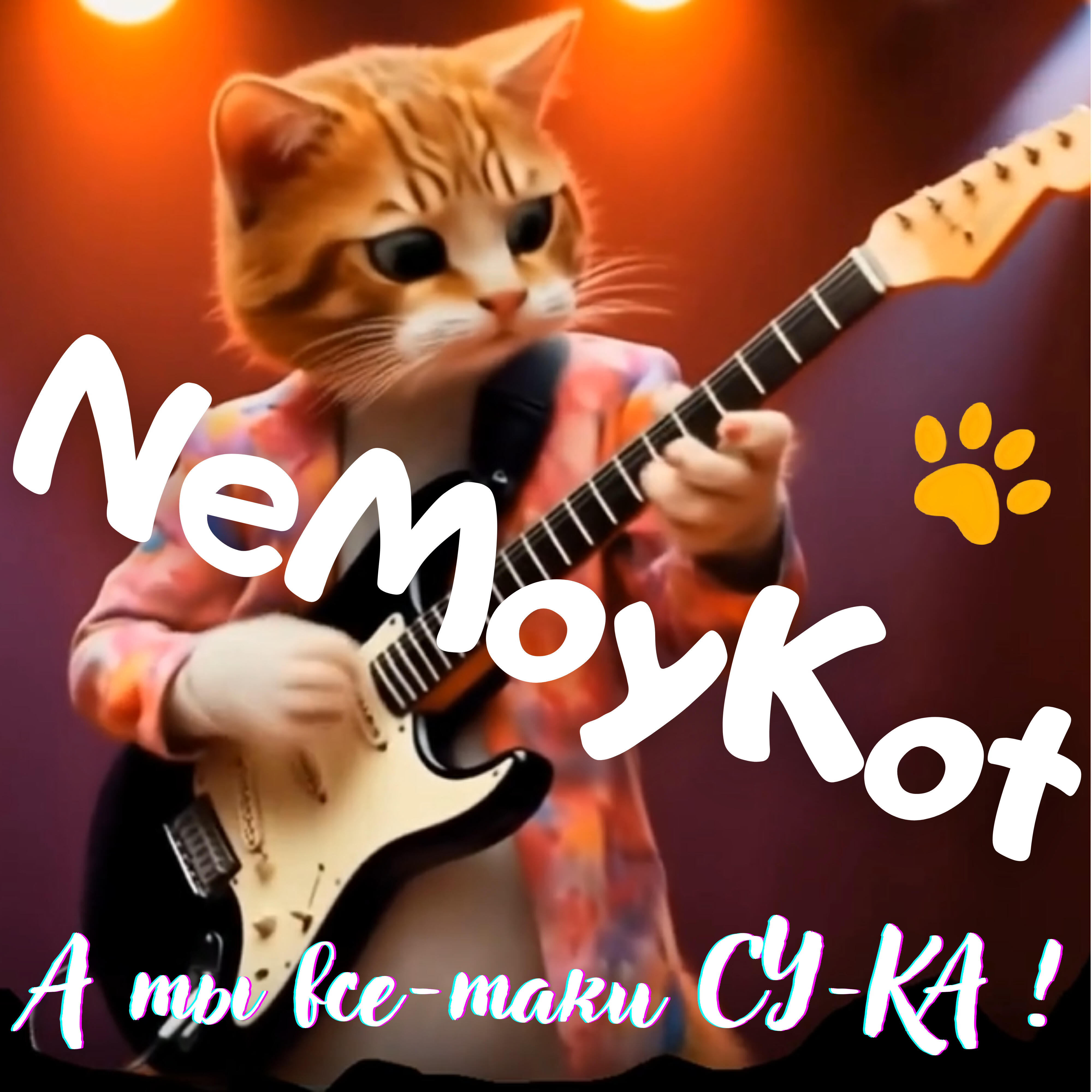 NeMoyKot