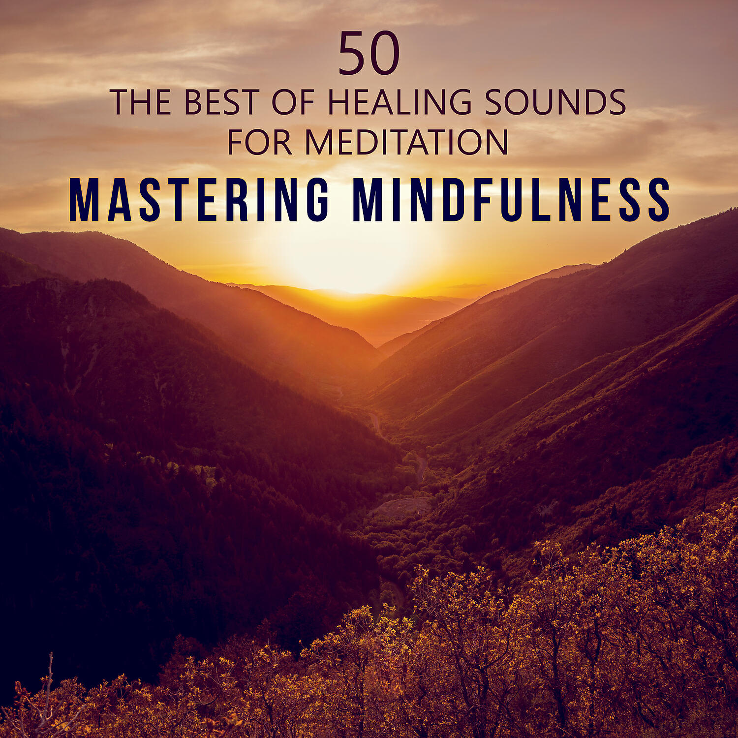 Релиз Mastering Mindfulness: 50 The Best of Healing Sounds - Therapy Music to Reduce Stress, Yoga, Find Inner Peace, Train Your Brain to Relax, Meditations to Quiet Your Mind