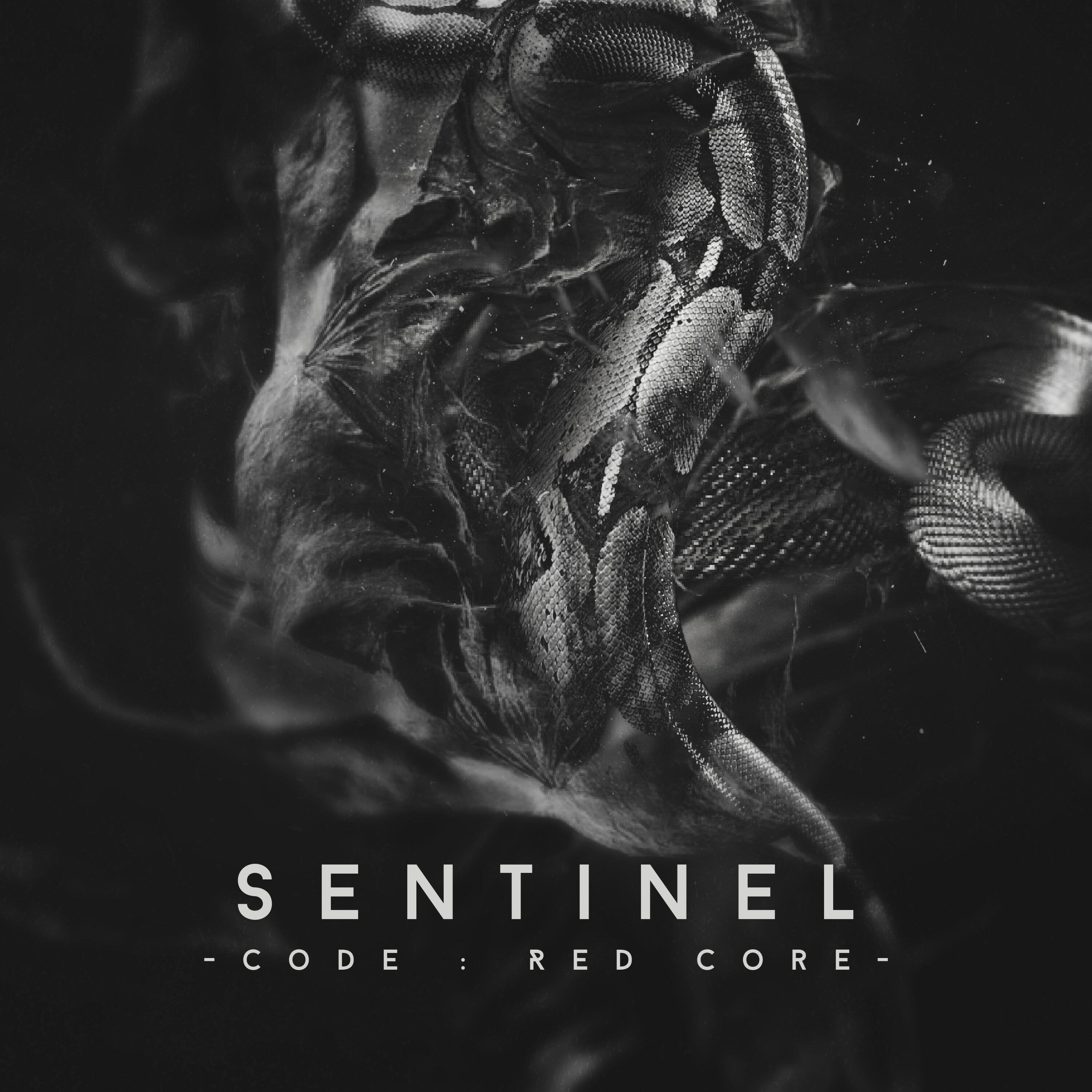 Релиз Sentinel