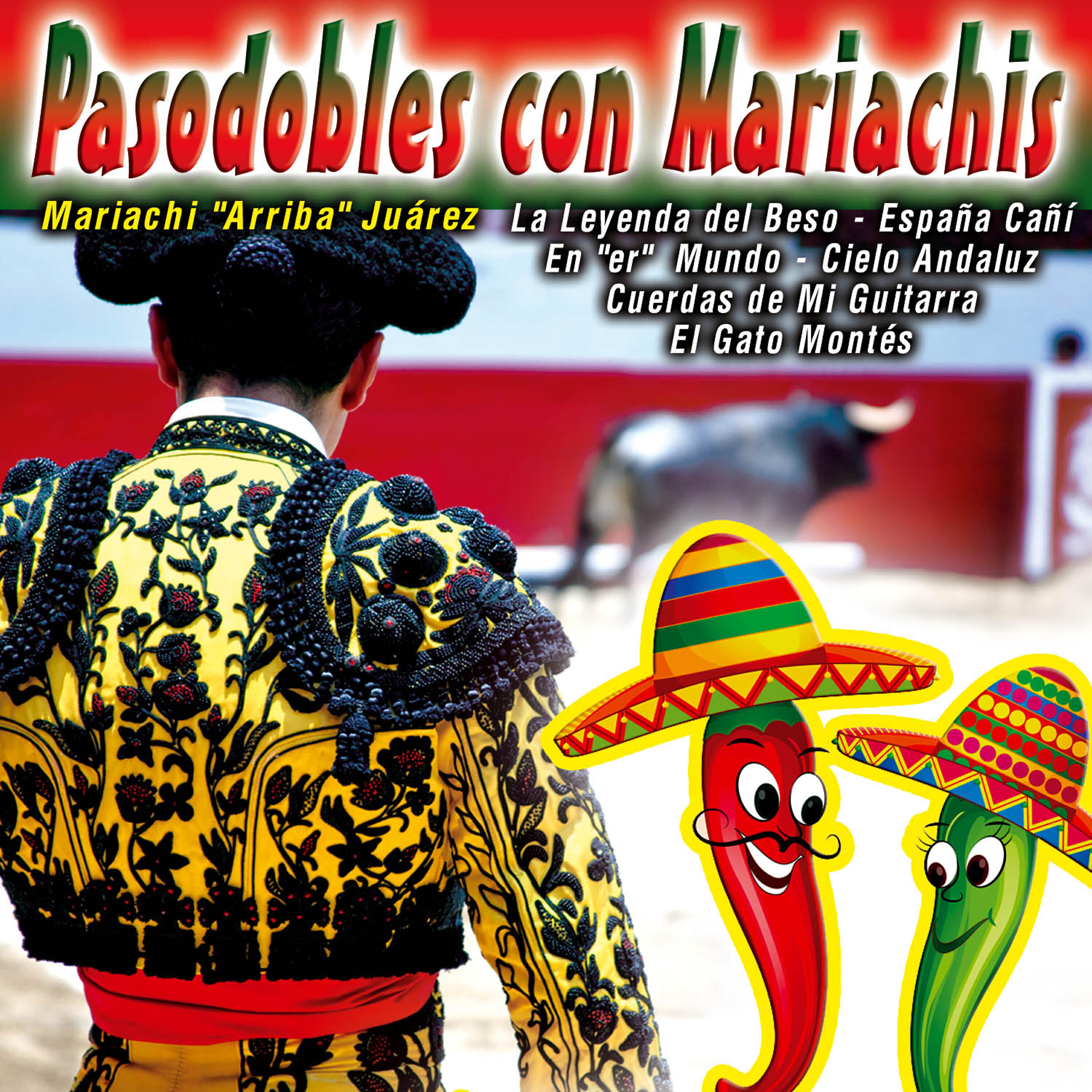 Постер альбома Pasodobles Con Mariachis