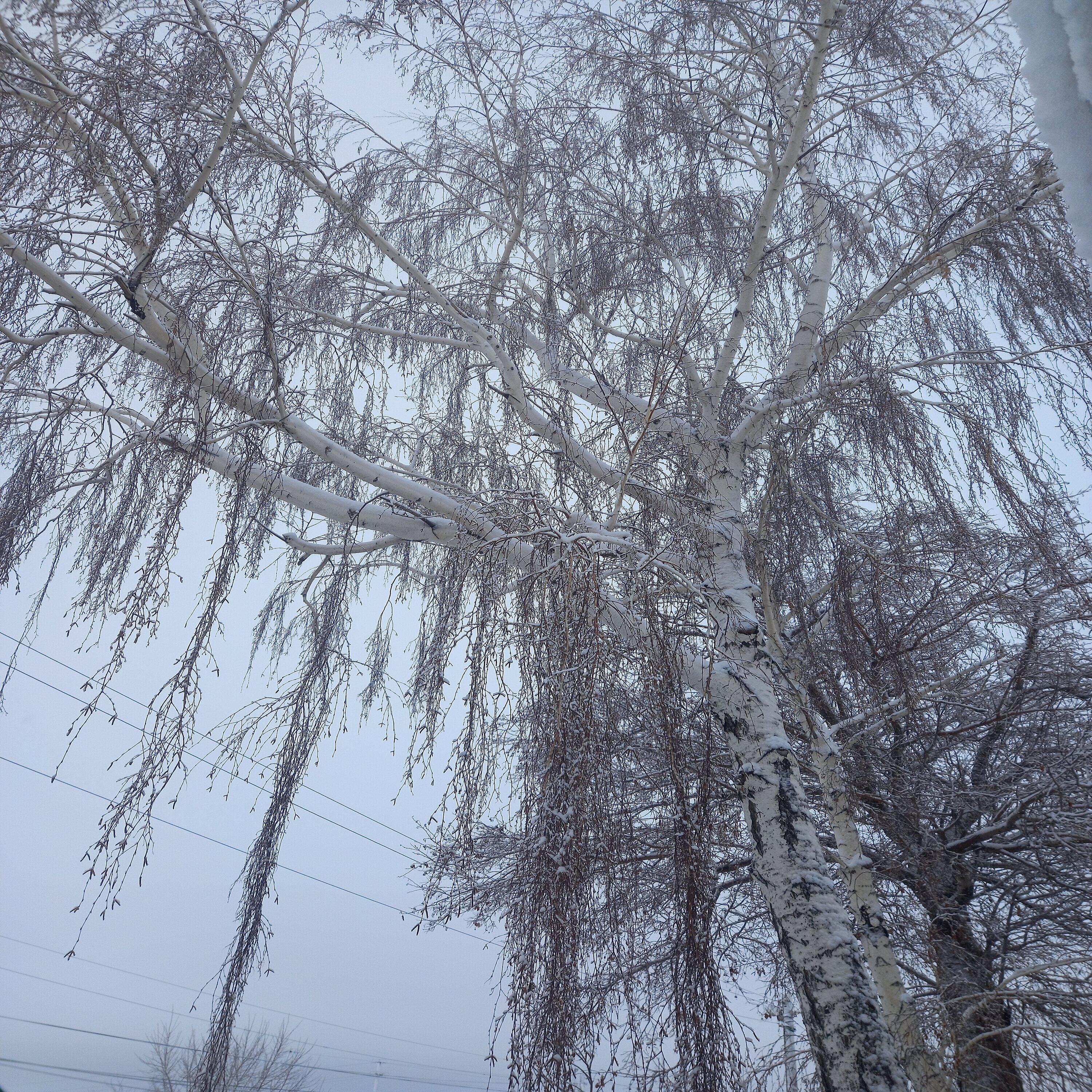 Релиз Часть личности