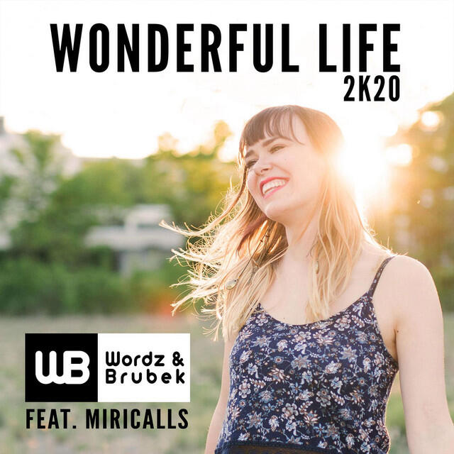 Релиз Wonderful Life 2K20