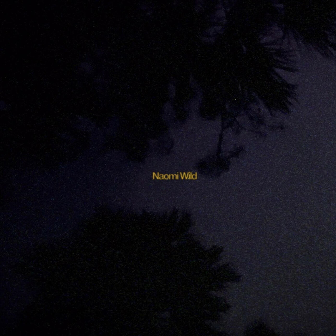 Релиз Naomi Wild