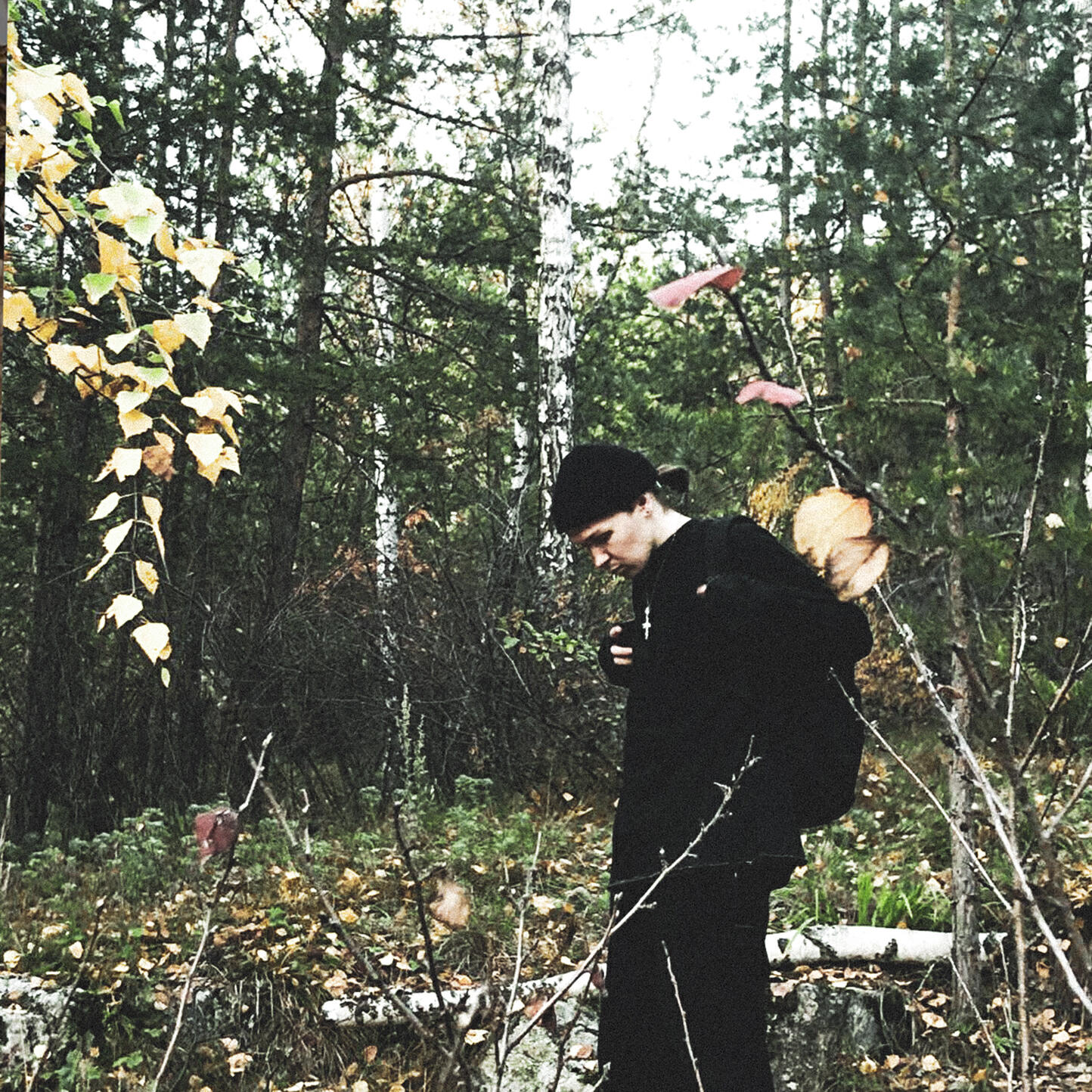 Релиз Велюр