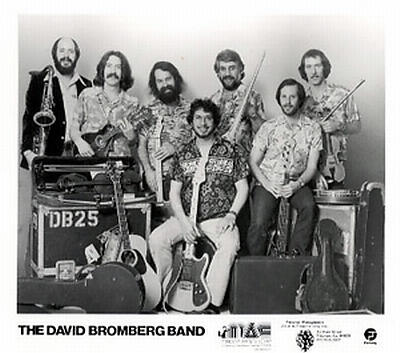 David Bromberg Band