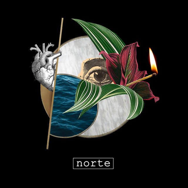 Релиз Norte