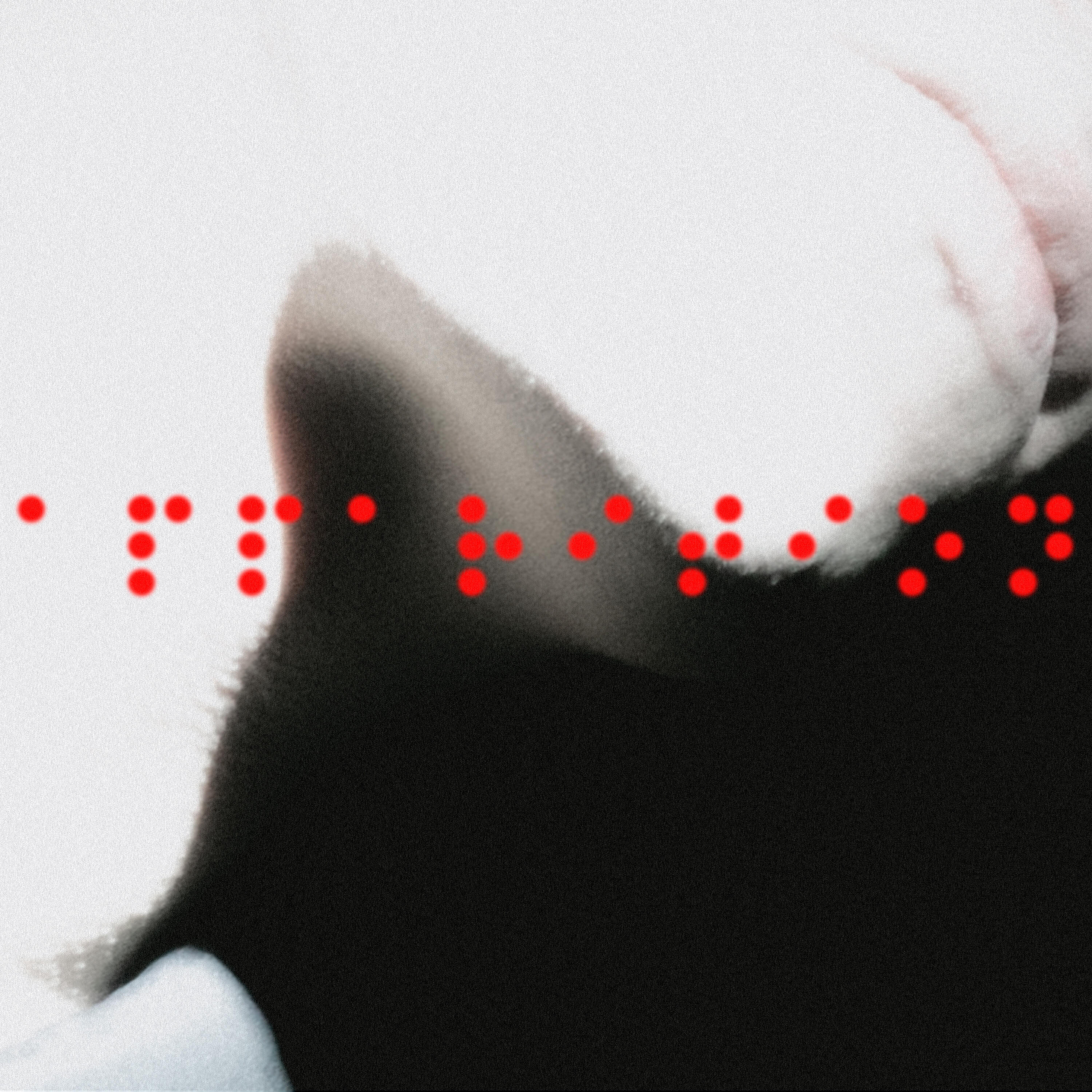 Релиз Apparition