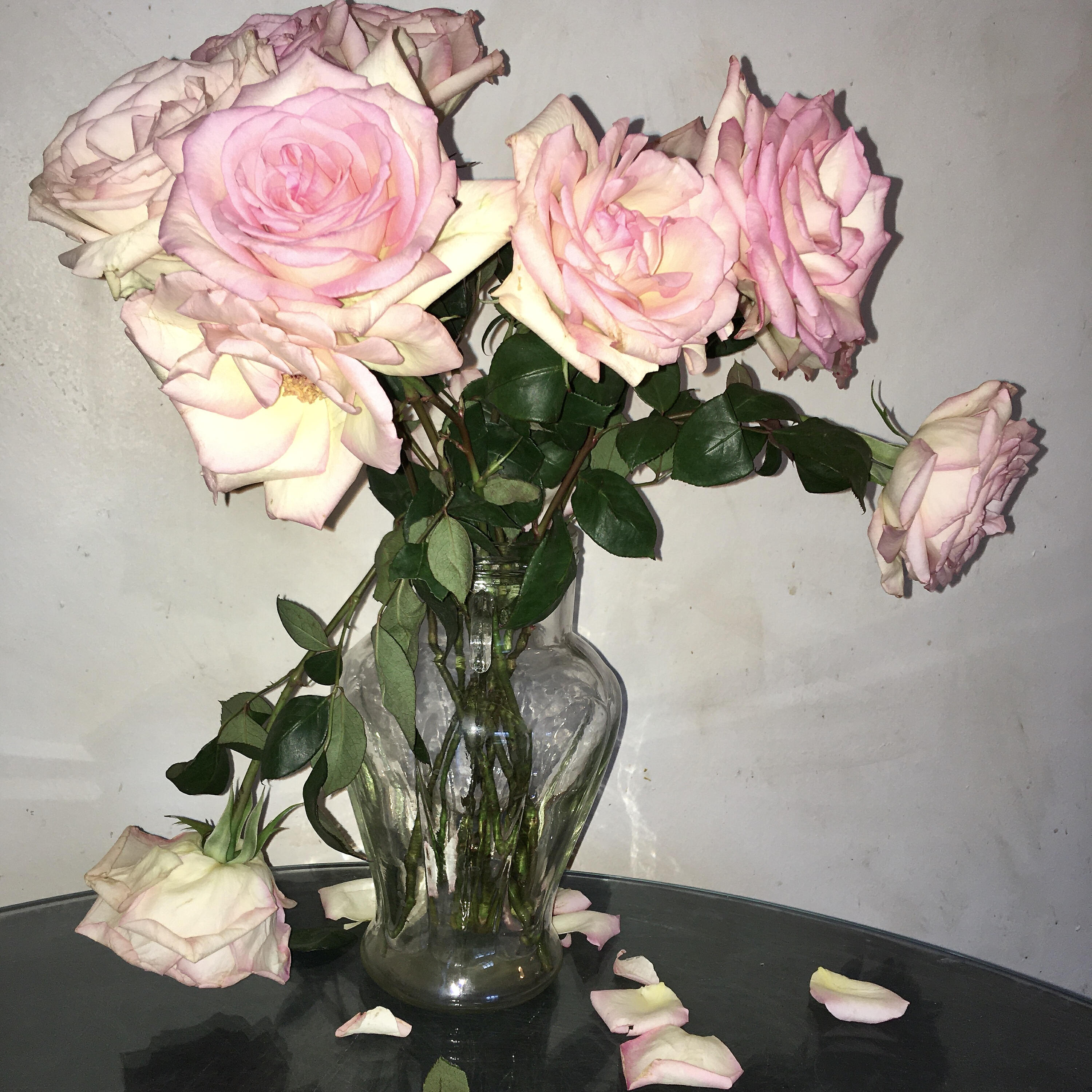 Релиз Not Love