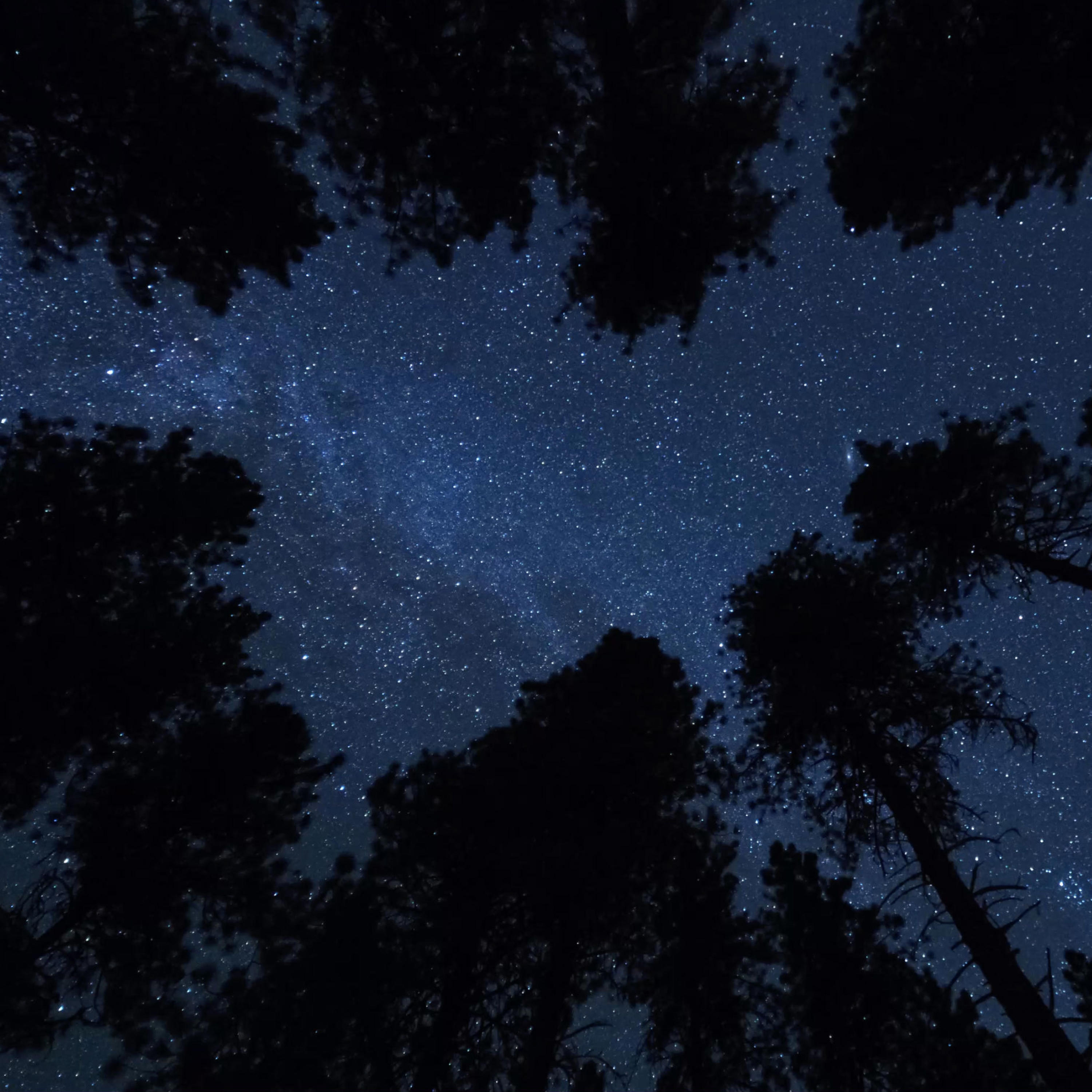 Релиз A Message from the Stars (Edits)