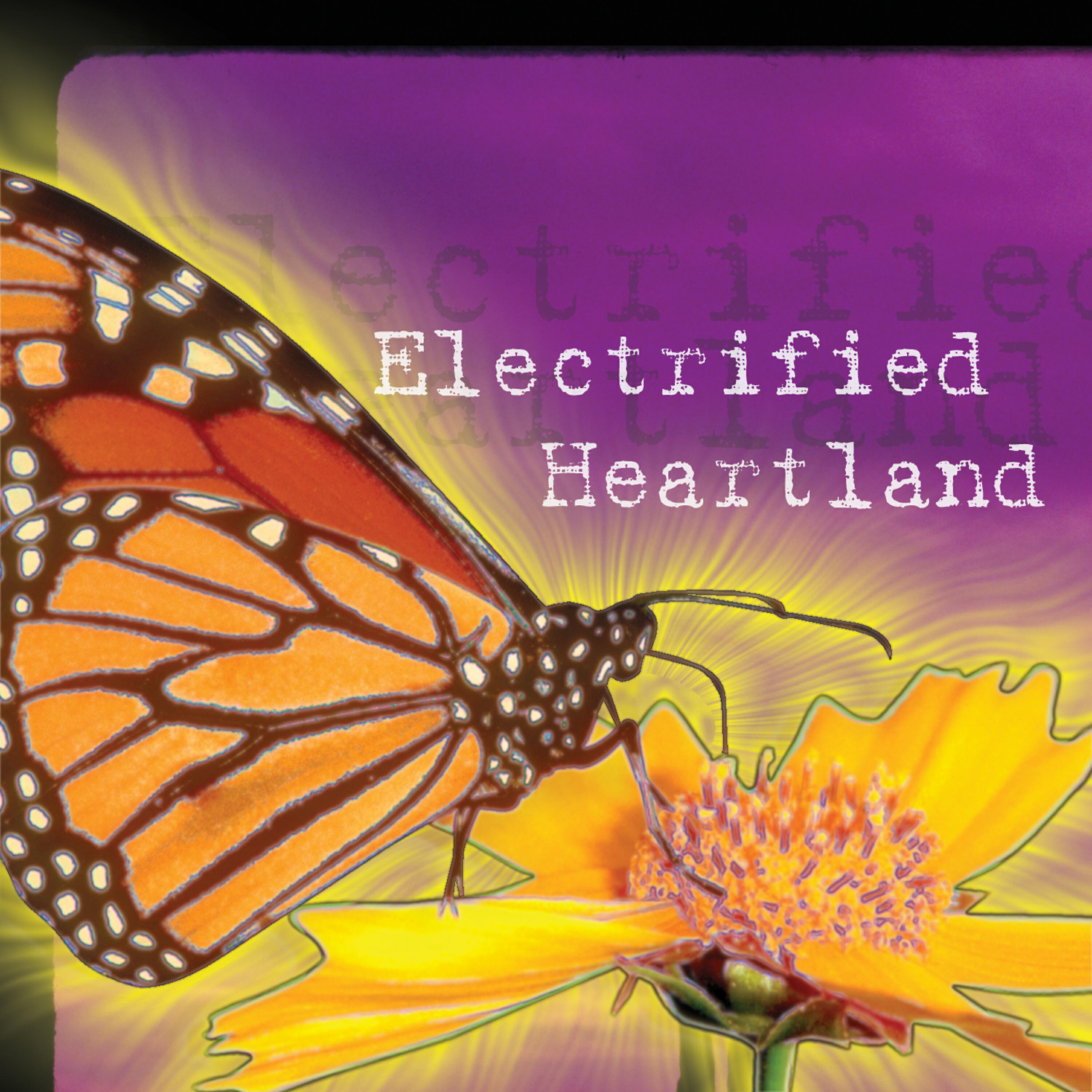 Релиз Electrified Heartland