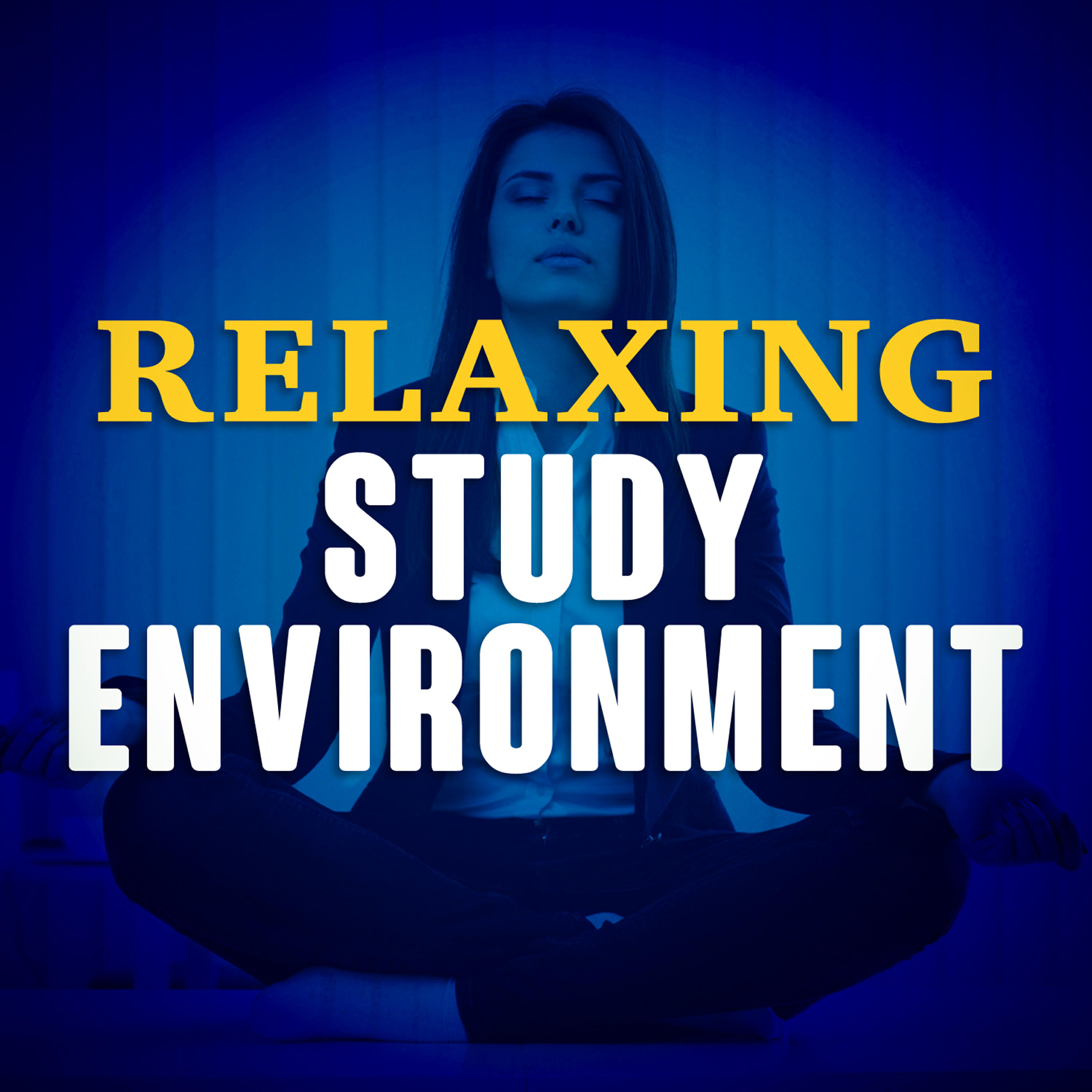 Релиз Relaxing Study Environment