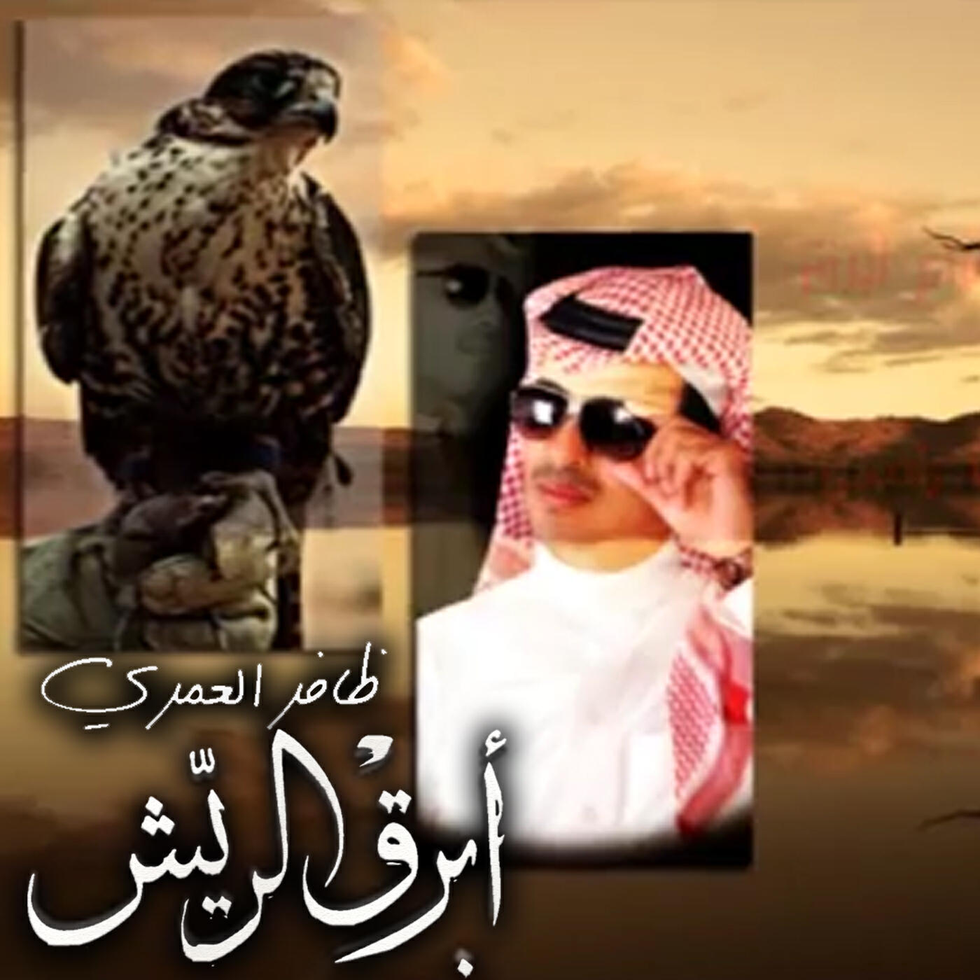 Dhafer Alamri