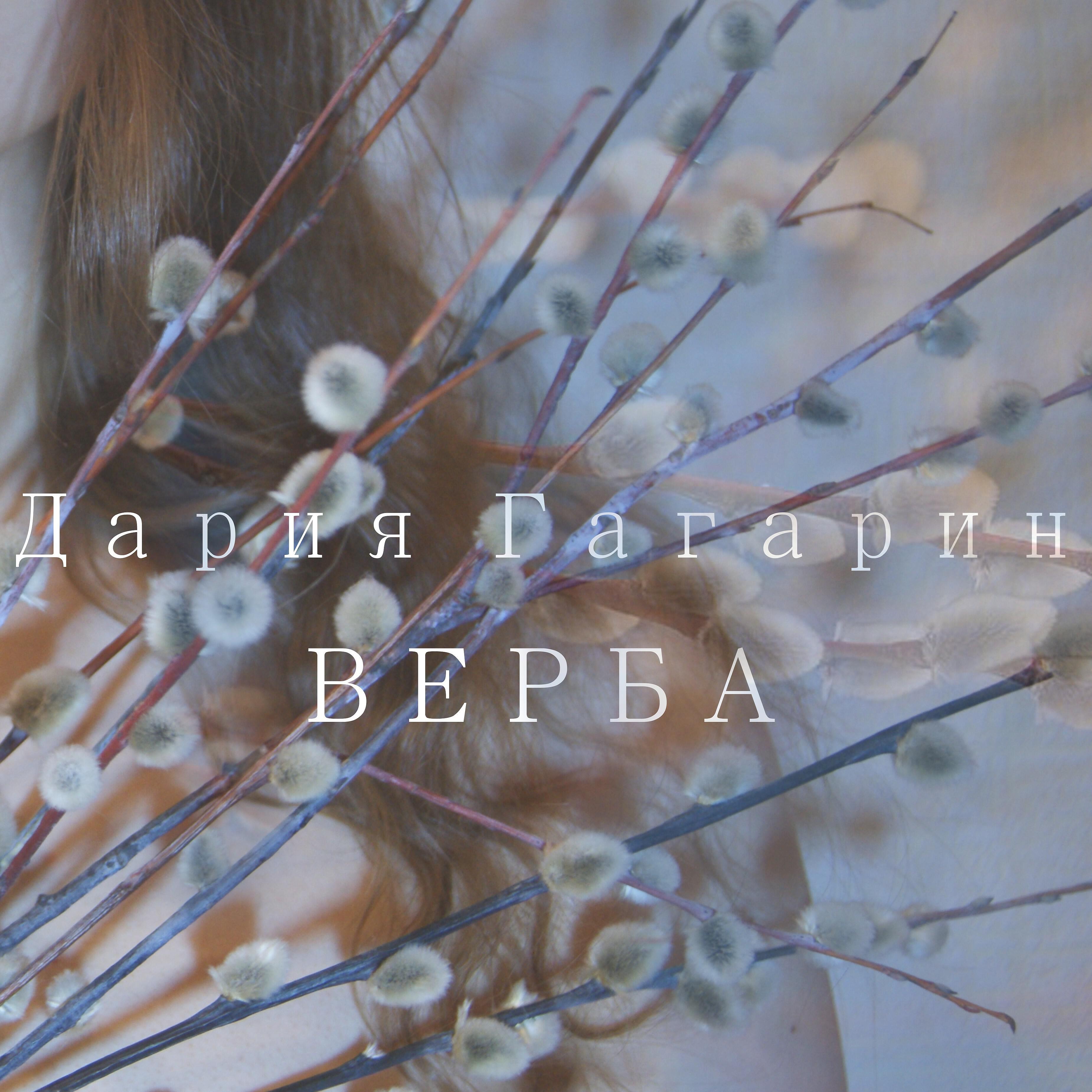 Релиз Верба