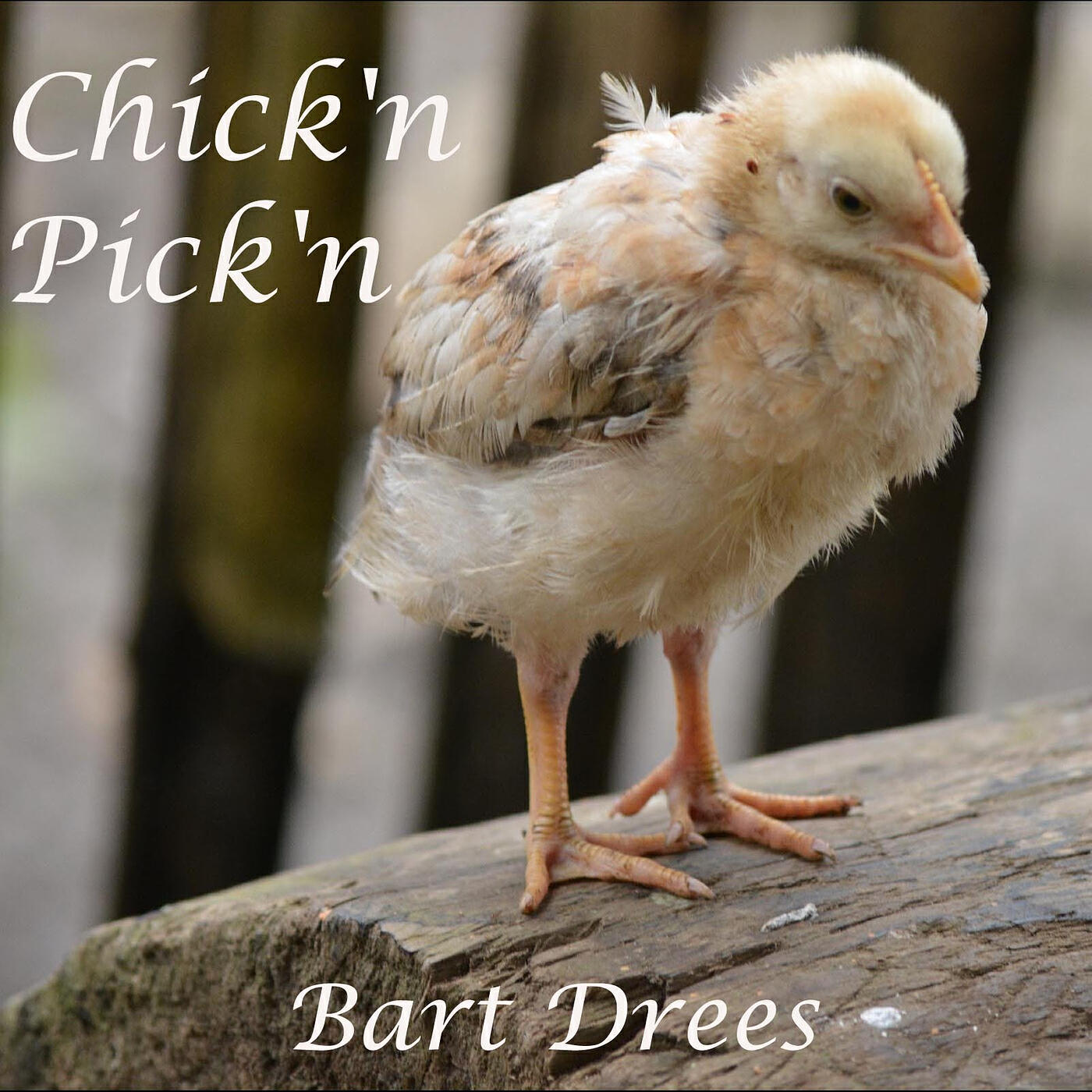 Релиз Chick'n Pick'n
