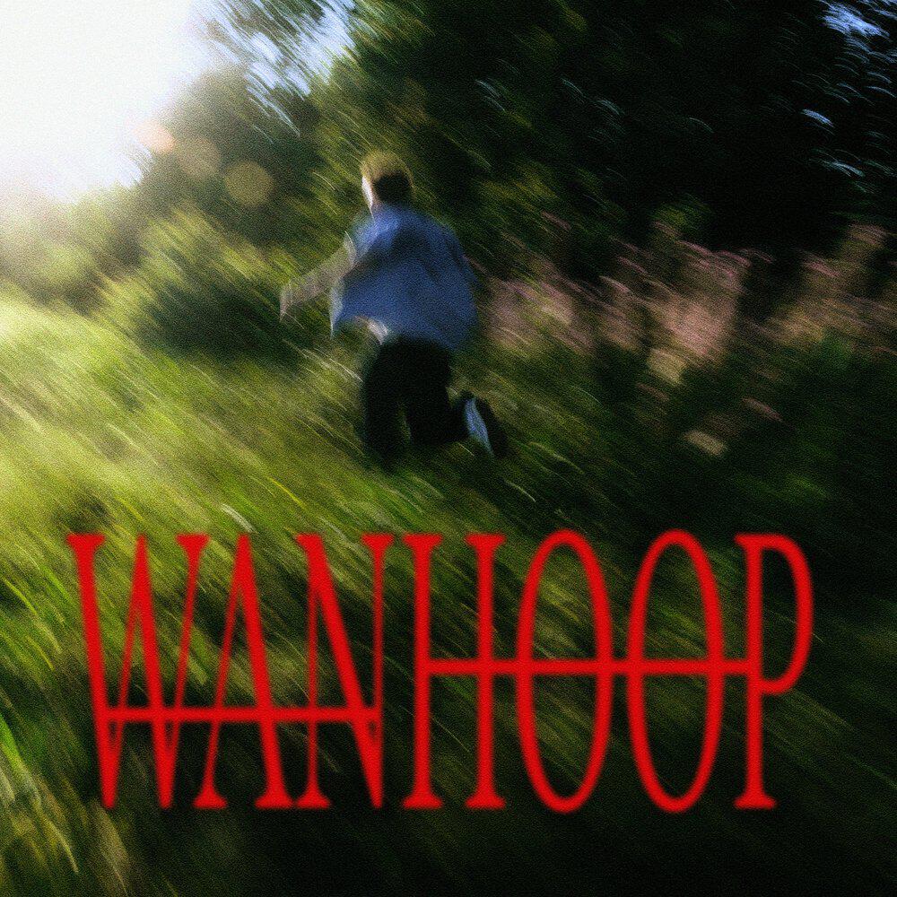 Релиз Wanhoop