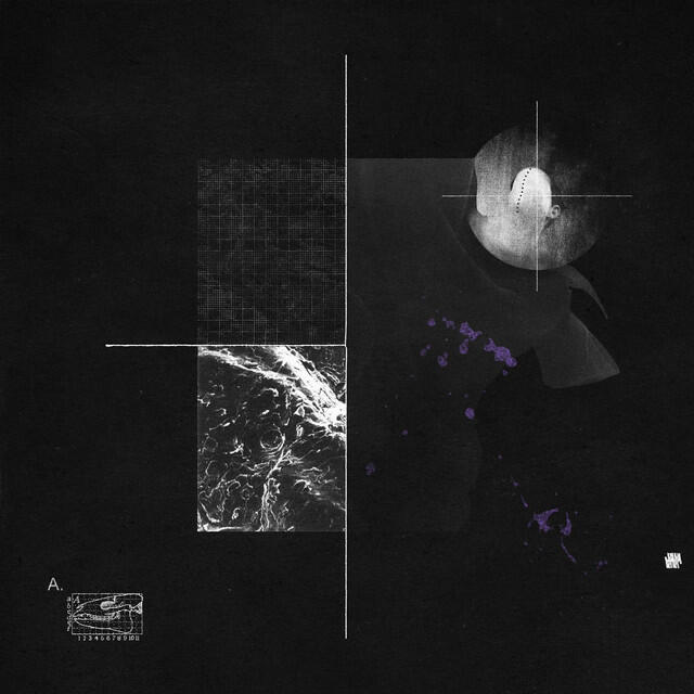 Релиз Second Sight