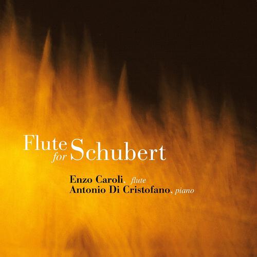 Релиз Flute for Schubert