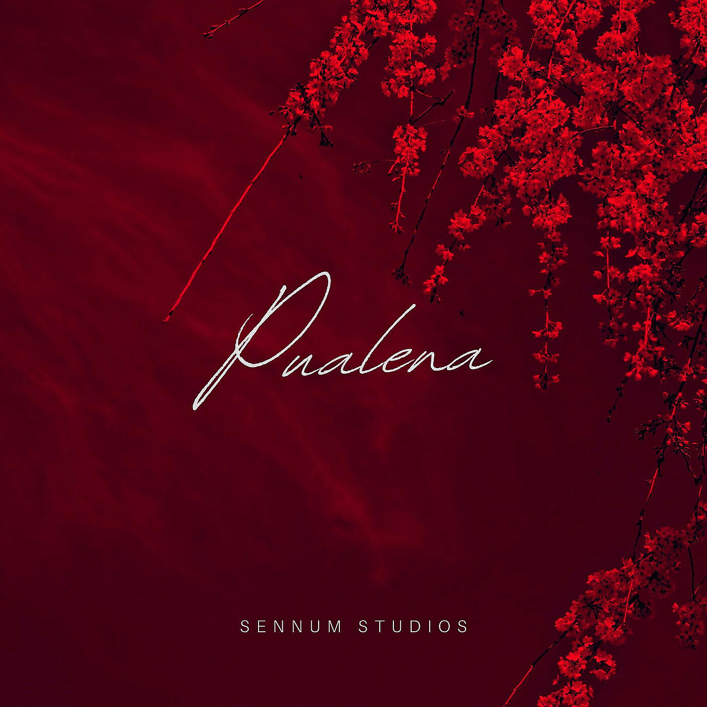 Релиз Pualena