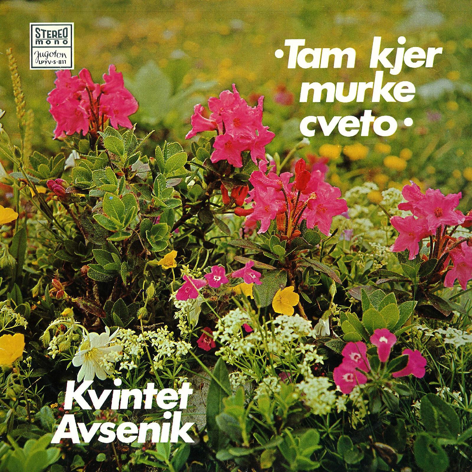 Kvintet 'Avsenik'