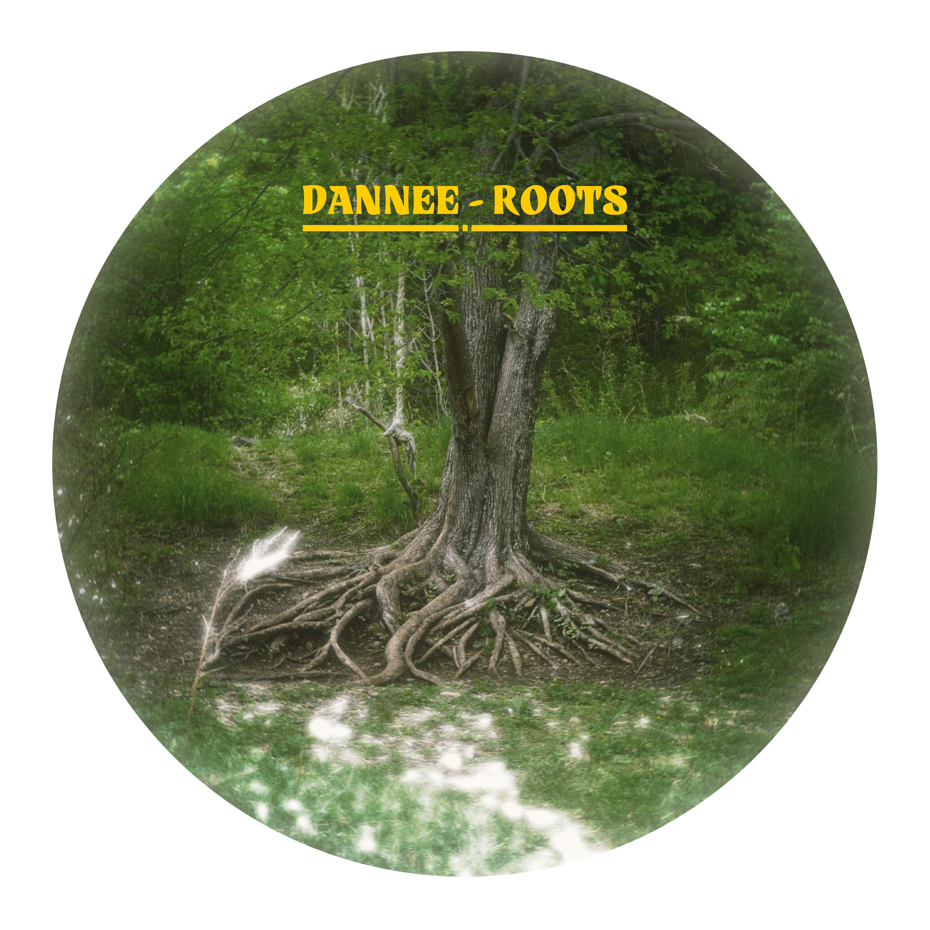 Релиз ROOTS